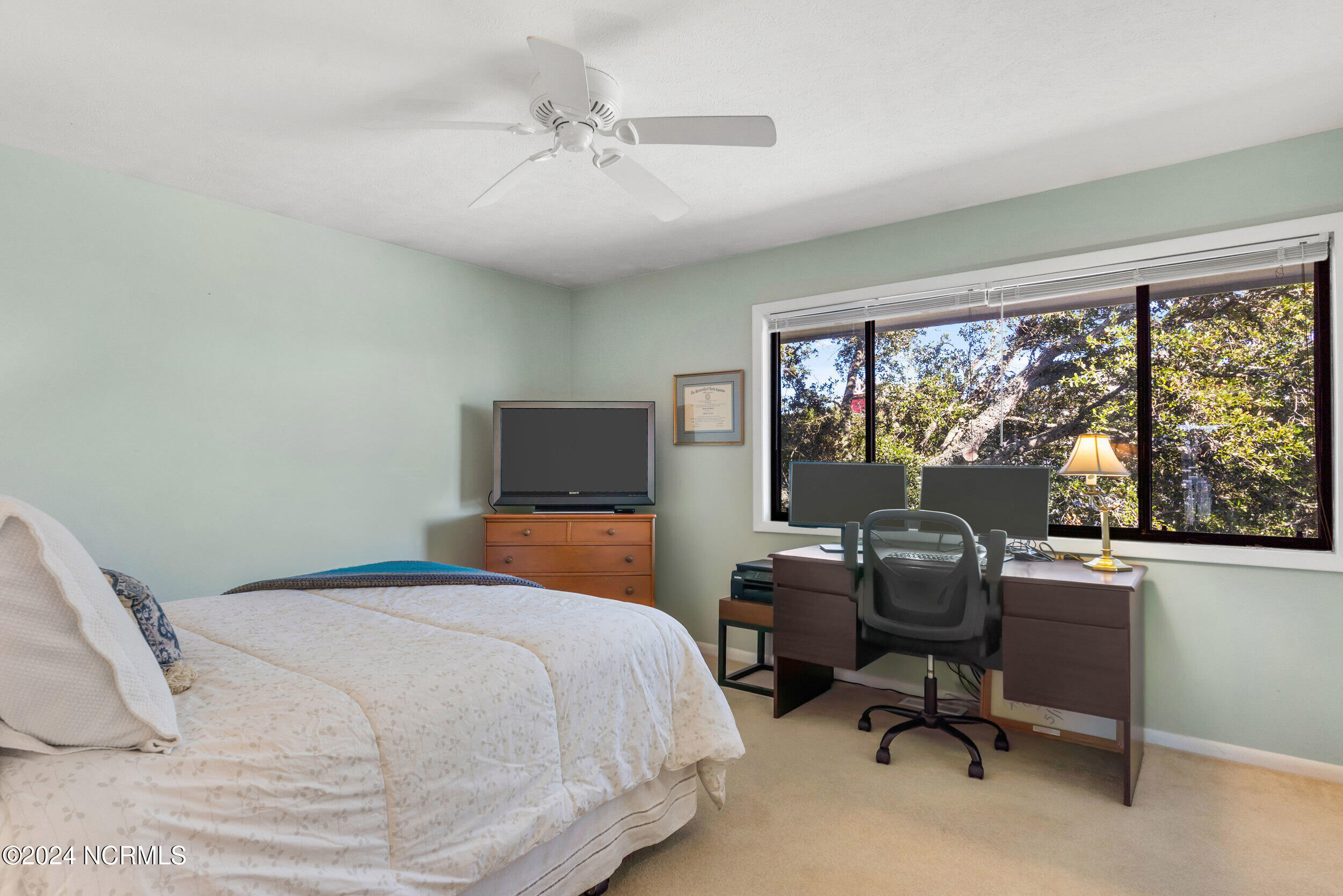 100555559 | Photo 17