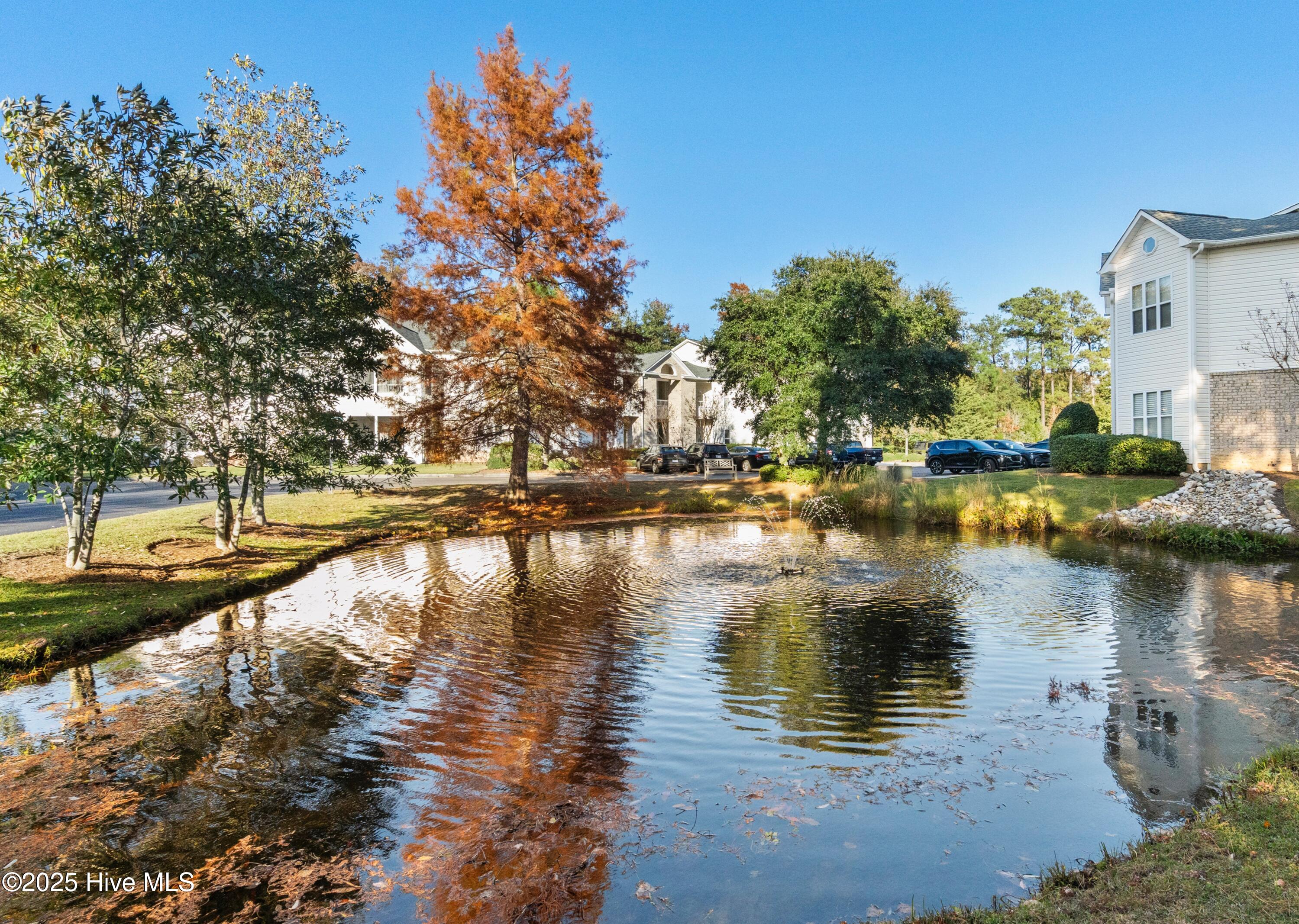 100541442 | Photo 34