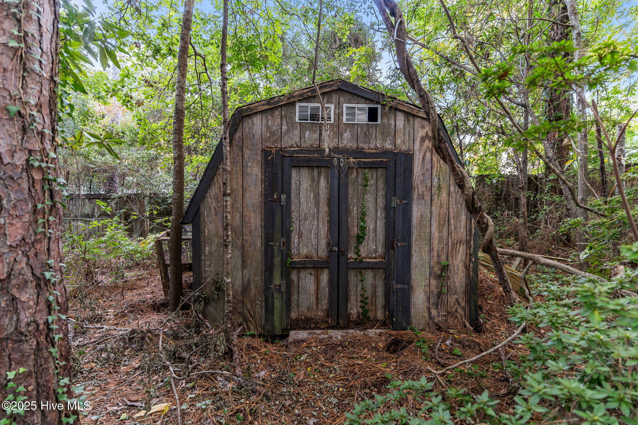 100540294 | Photo 47