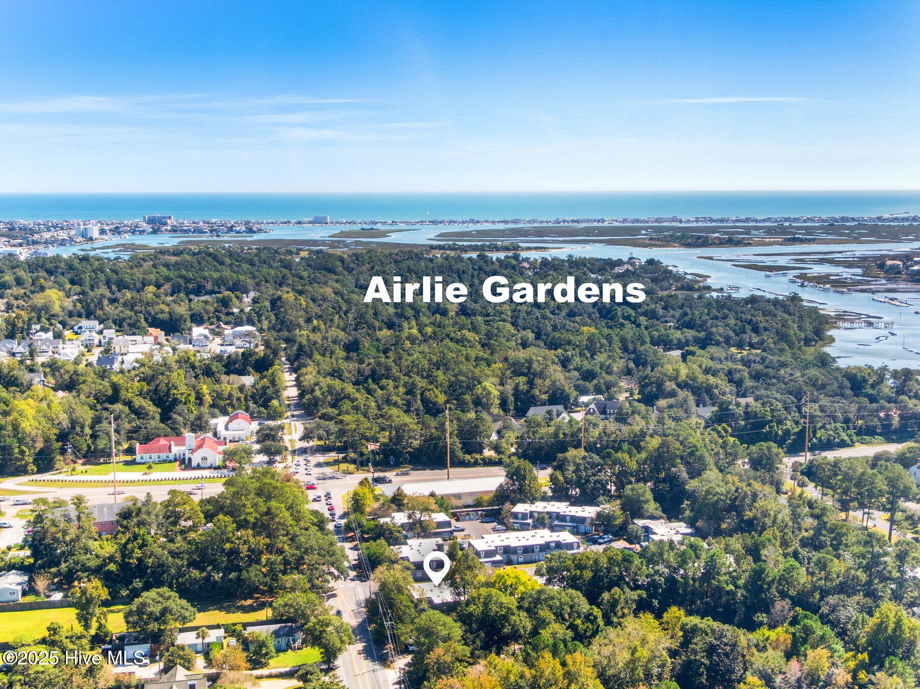 100532478 | Photo 31