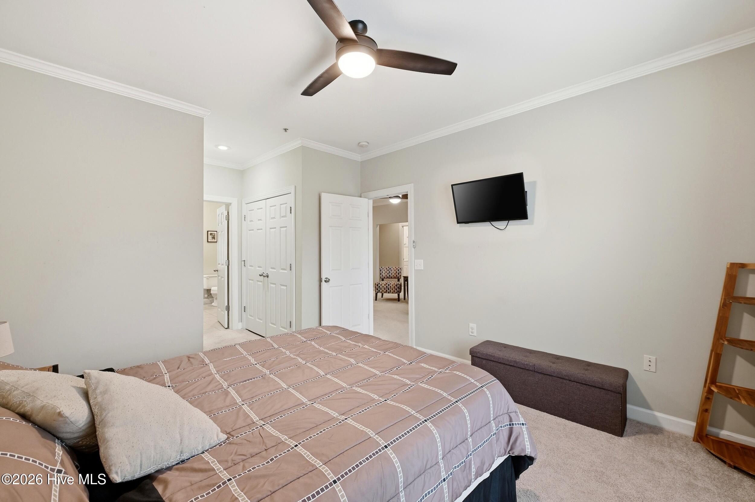 100553296 | Photo 15