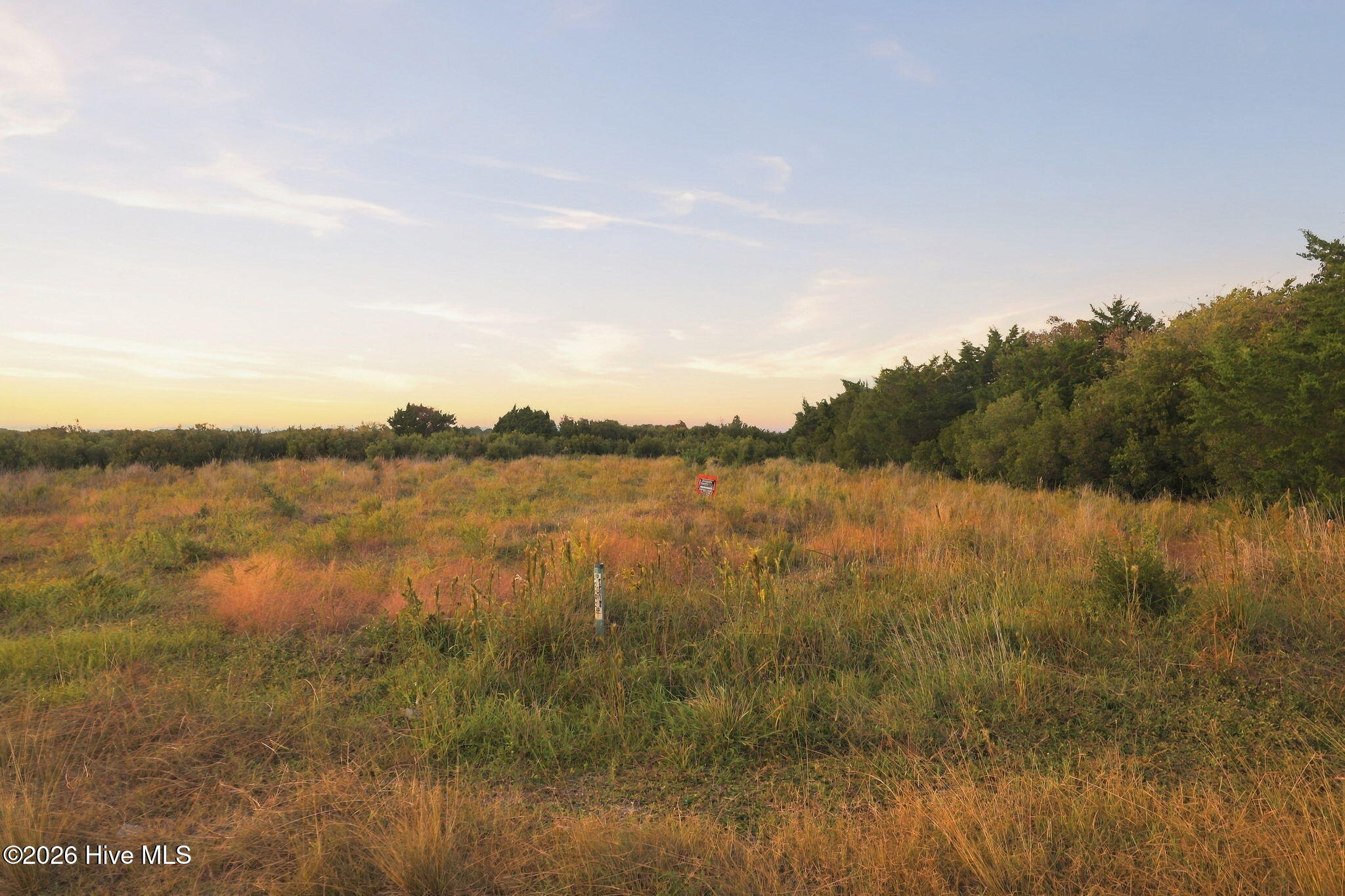 100607975 | Photo 3