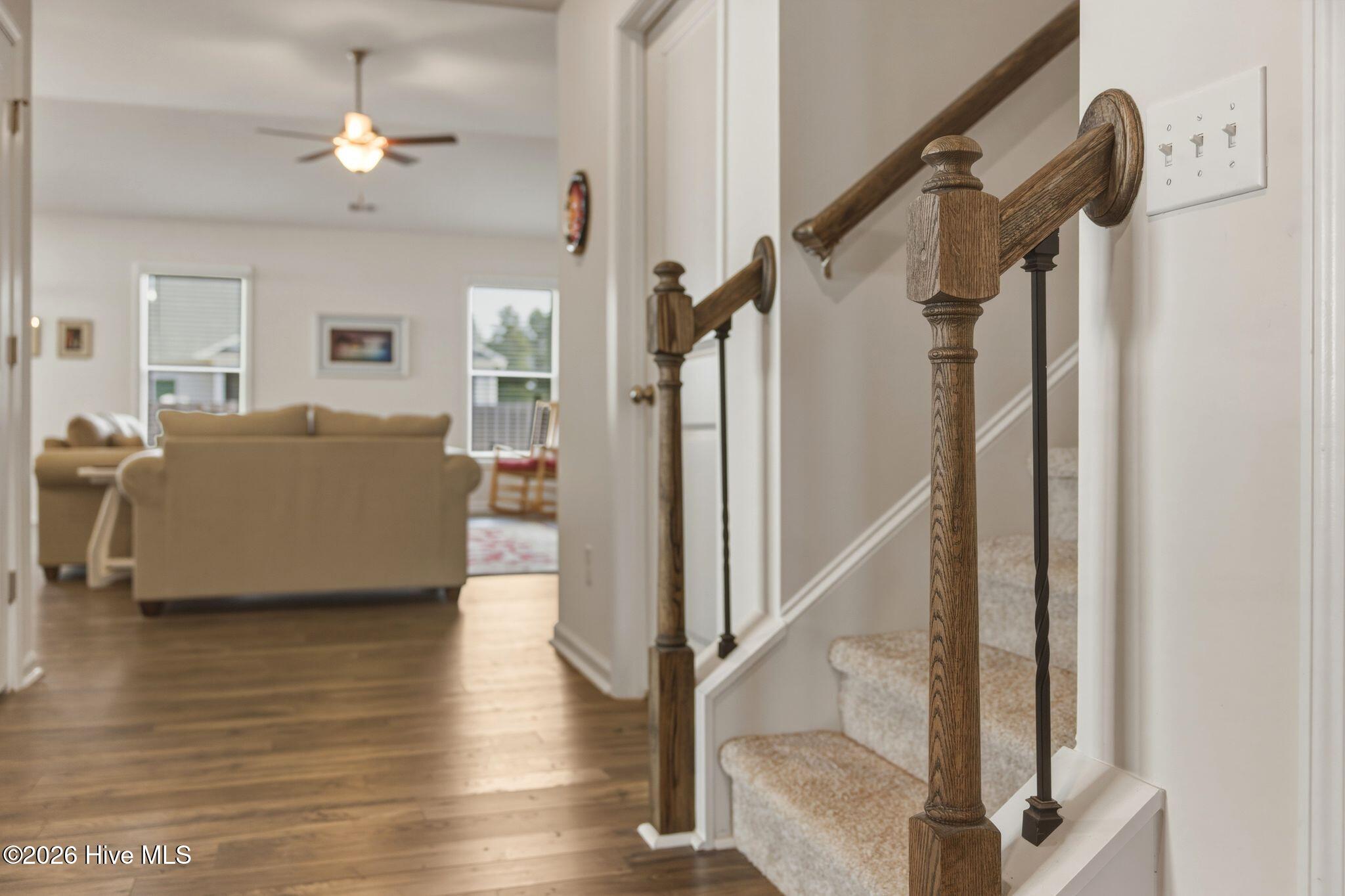 100563254 | Photo 33