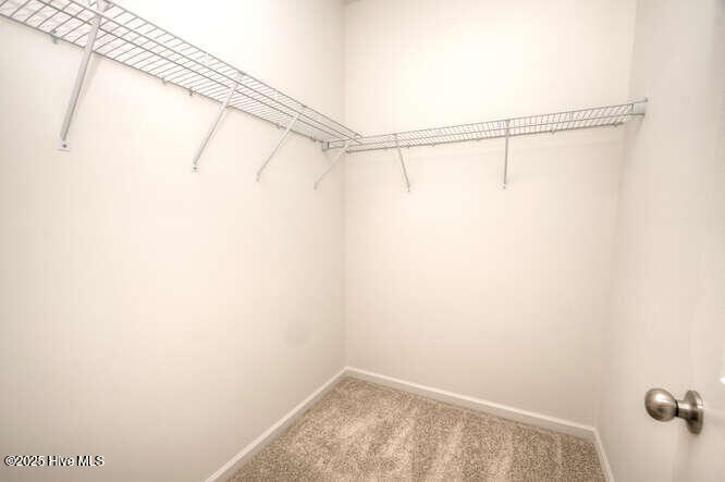 100525166 | Photo 17