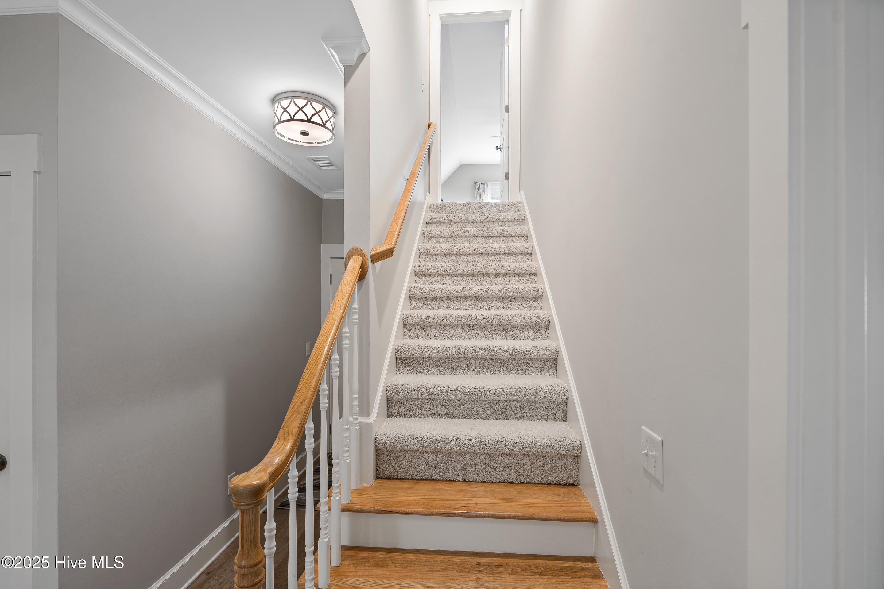 100535201 | Photo 33