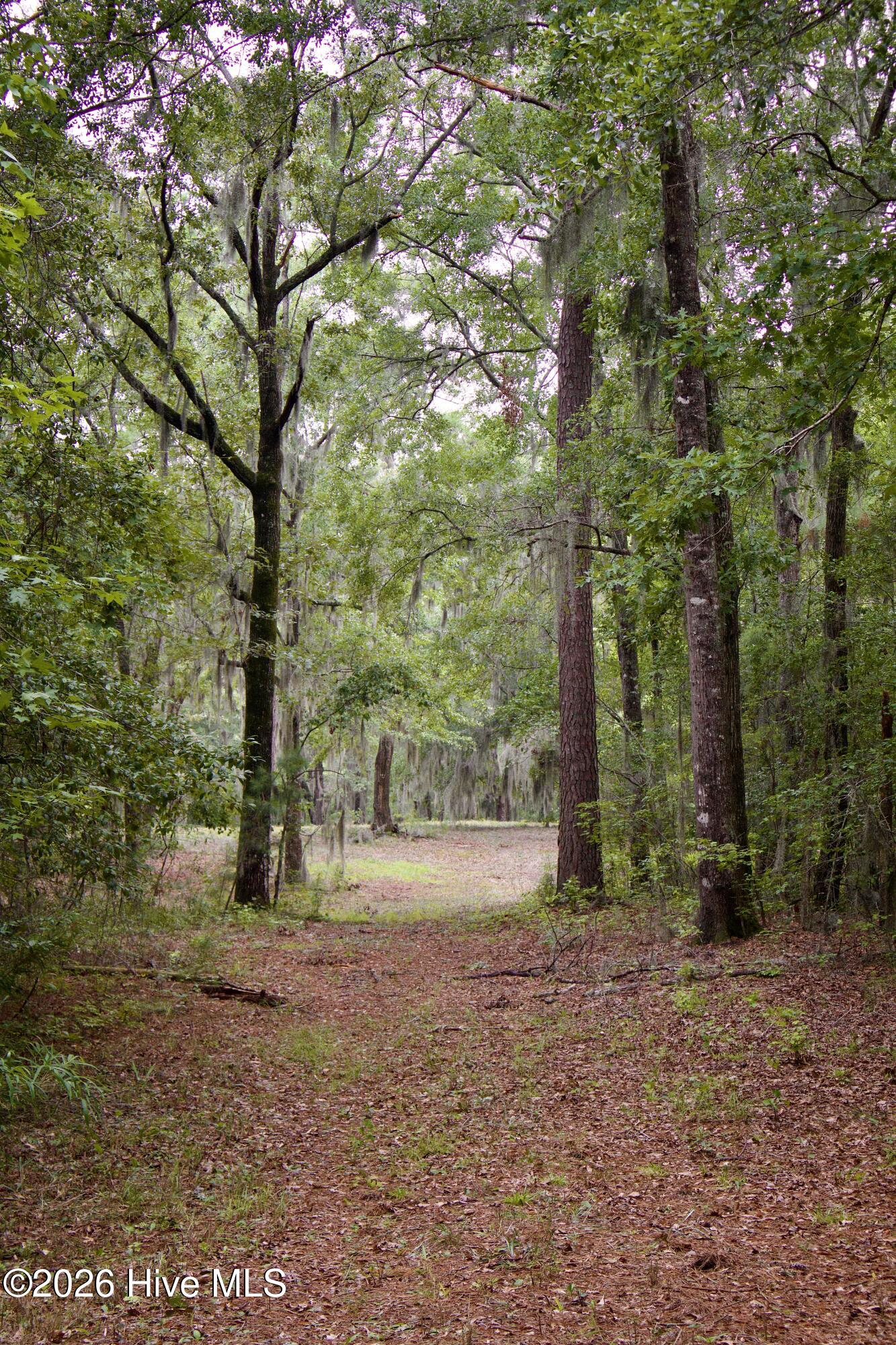 385 Sand Ridge Road,New Bern