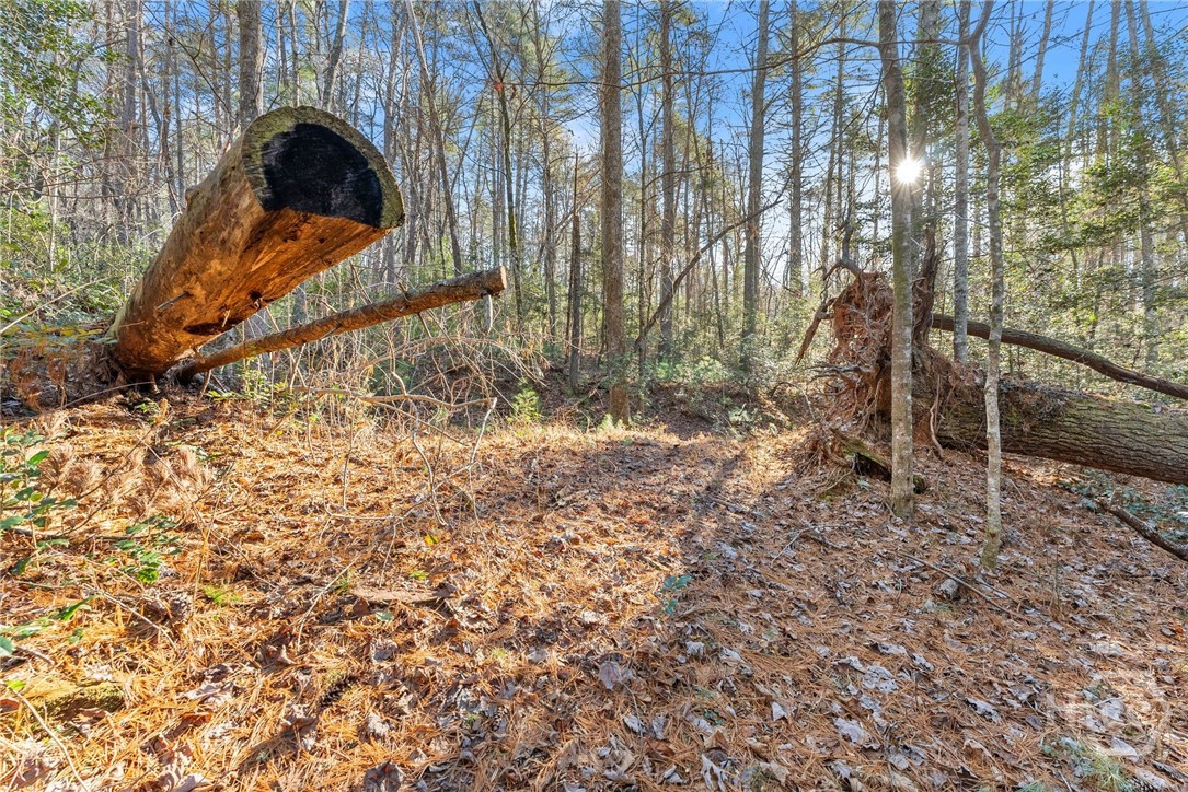 Shoal Creek Tract Habersham County