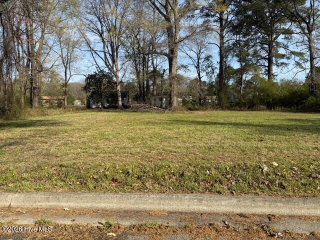 Lot 77 W Plainview Drive, Warrenton, GA, 30828