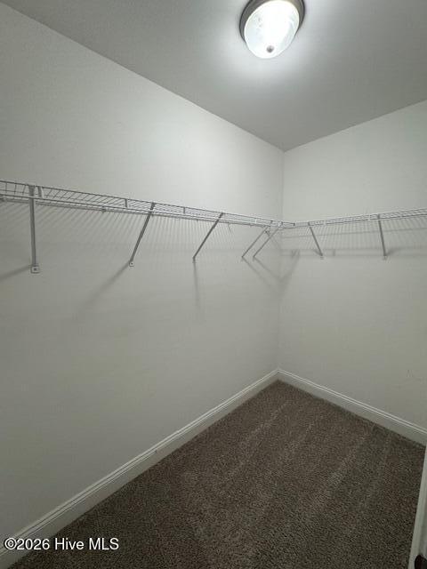 100550451 | Photo 20