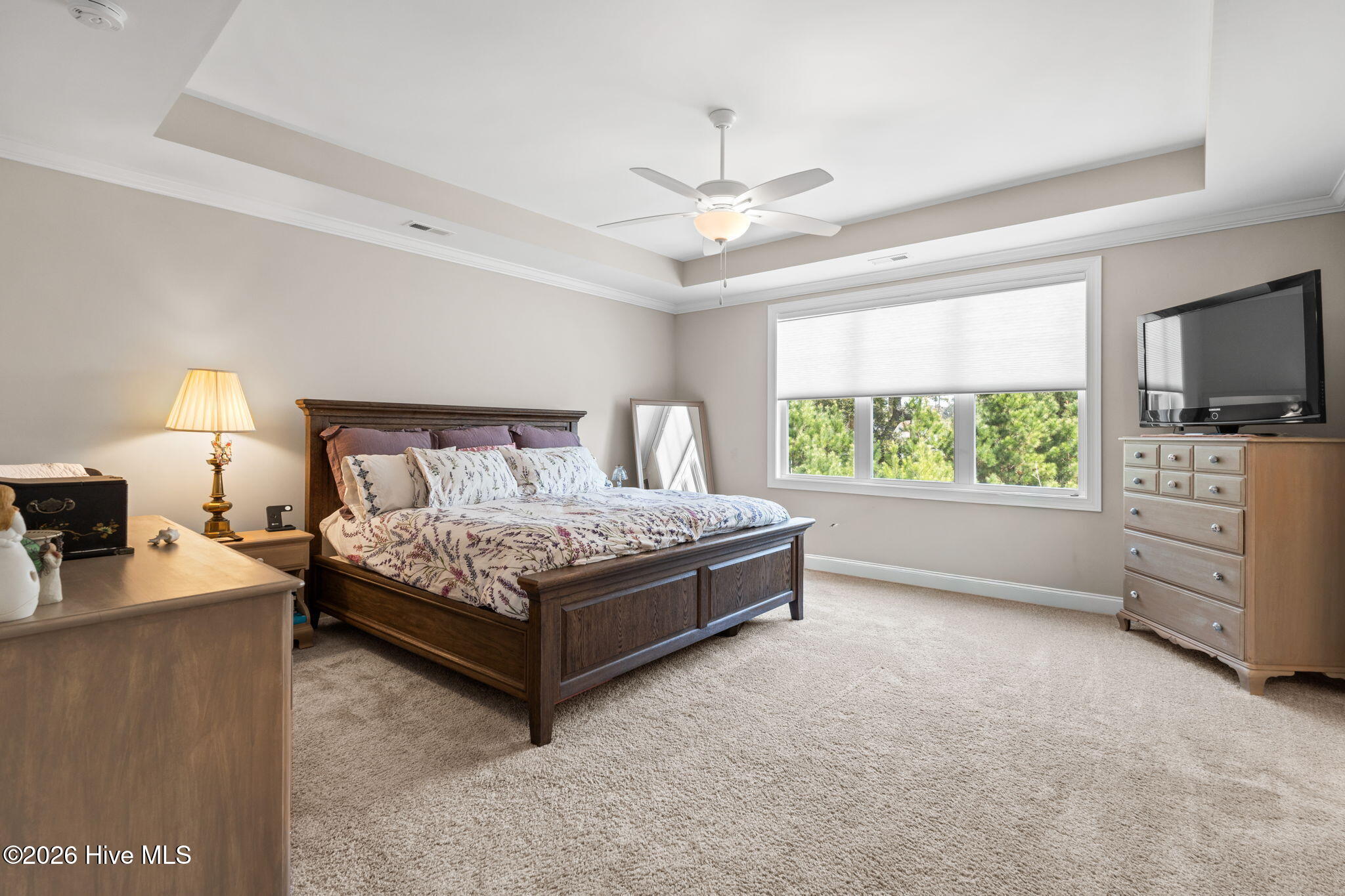 100564109 | Photo 18