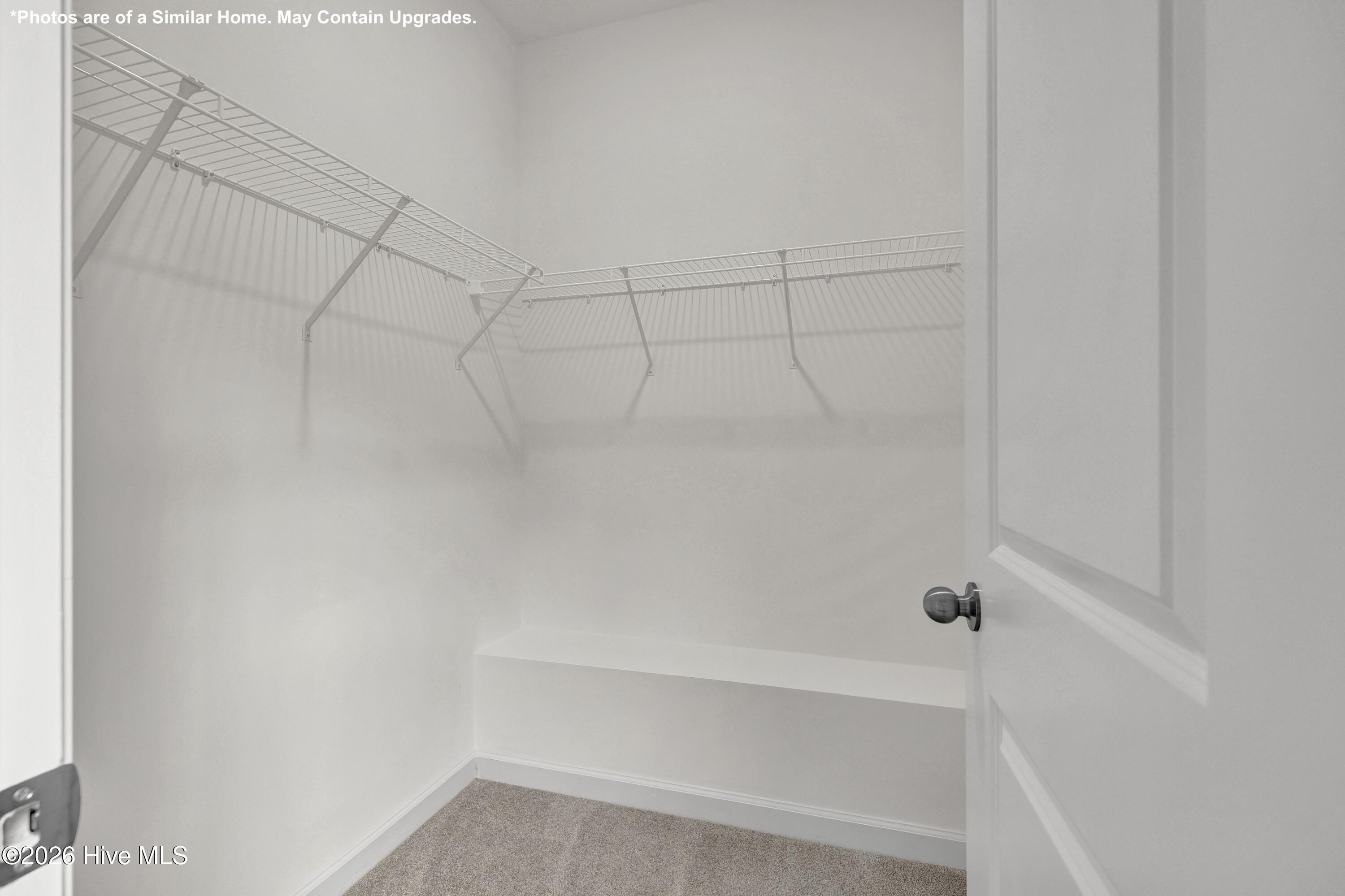 100557198 | Photo 17