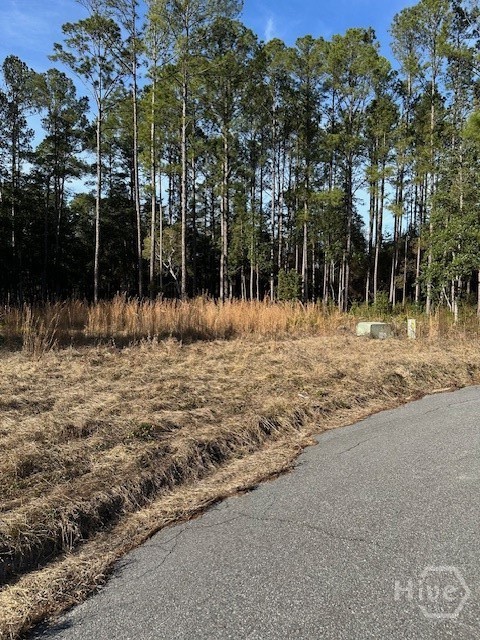 Homes for sale in Guyton, GA | 135 And 139 Greenbriar Dr, Guyton, GA 31312 | MLS# SA346291