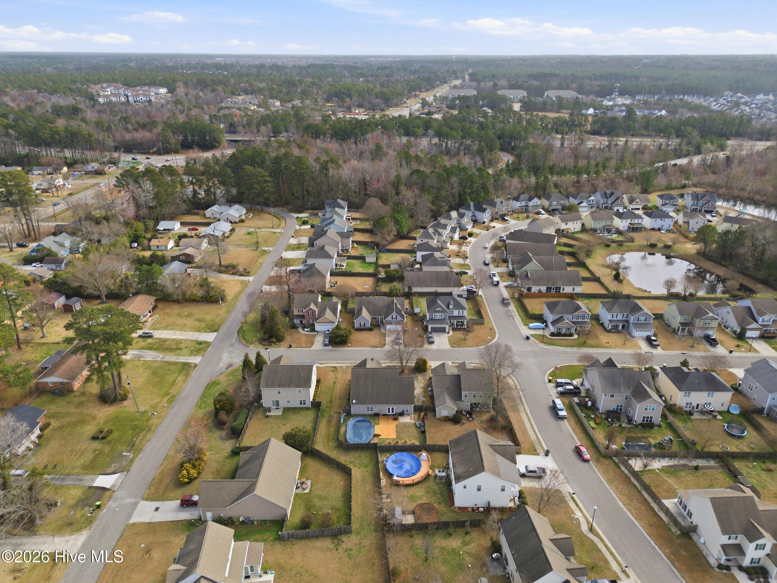 100557716 | Photo 47