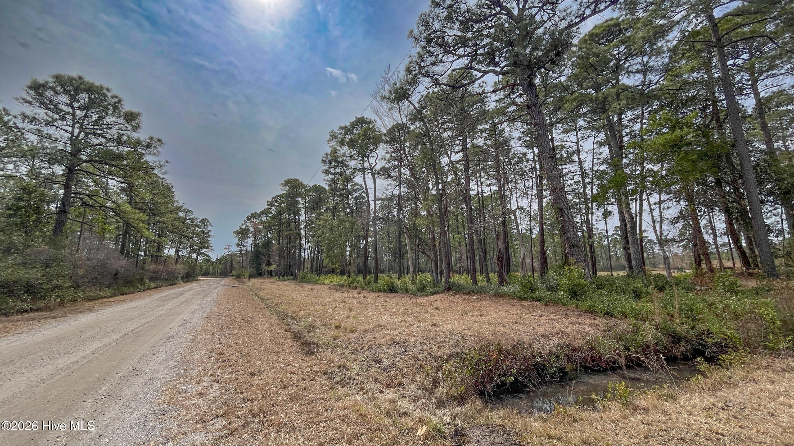 100554657 | Photo 29