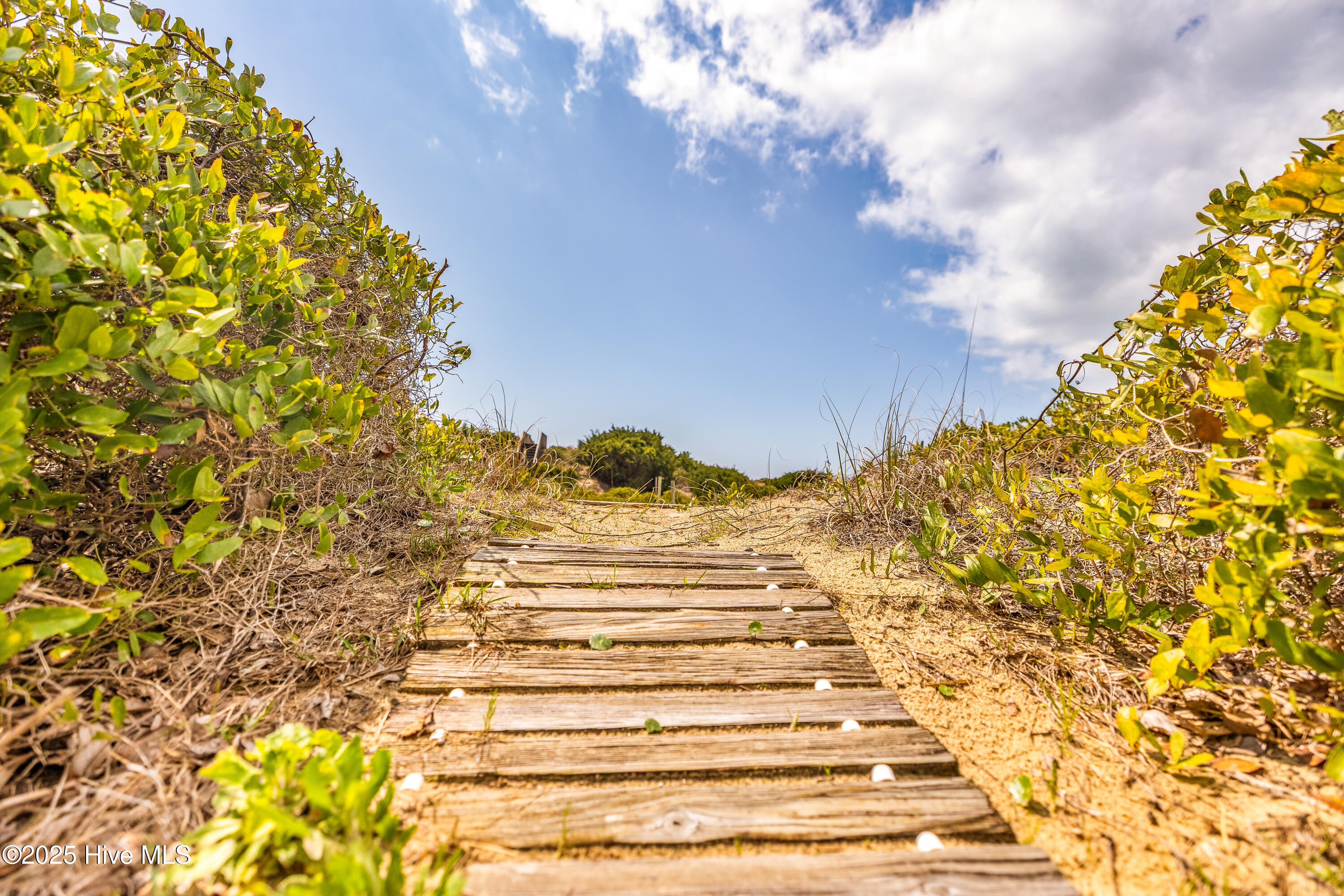 100500565 | Photo 52