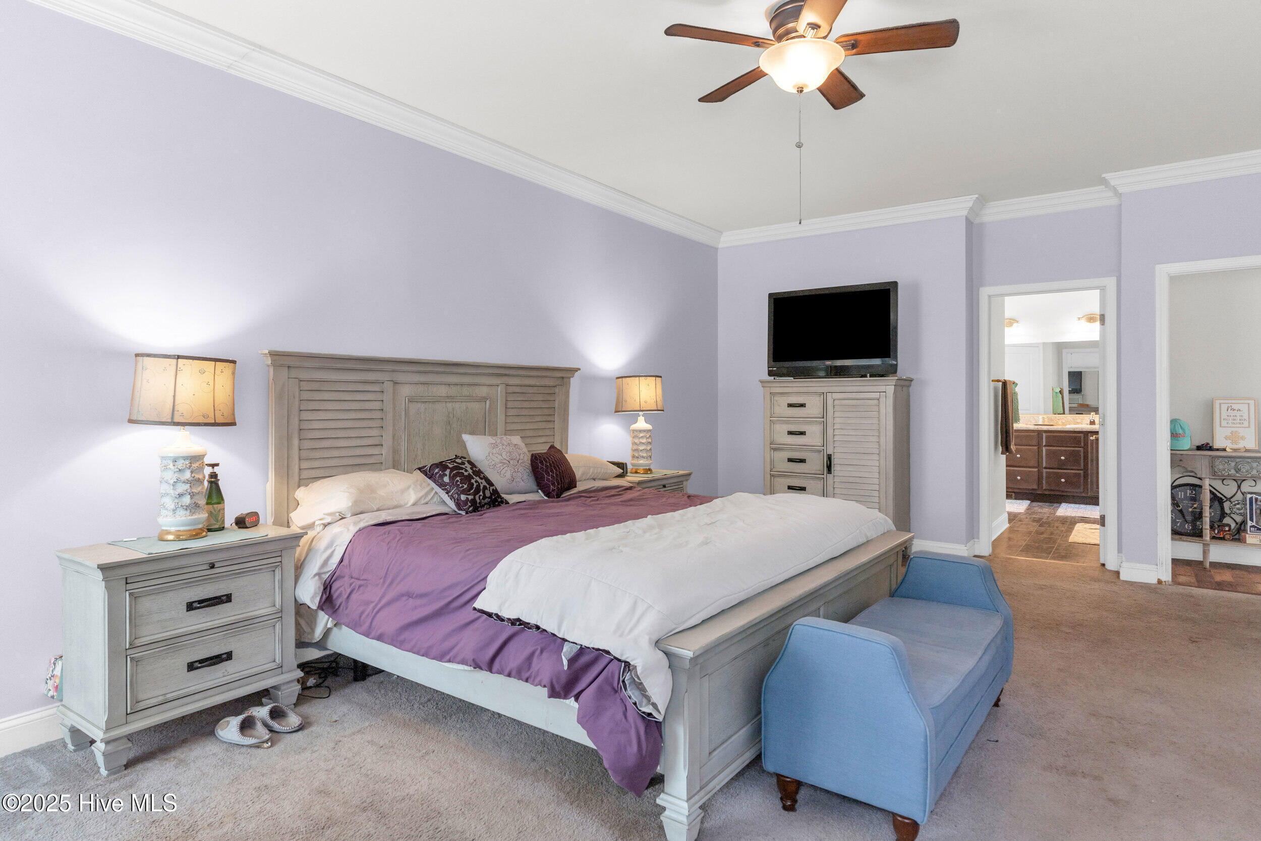 100521196 | Photo 23