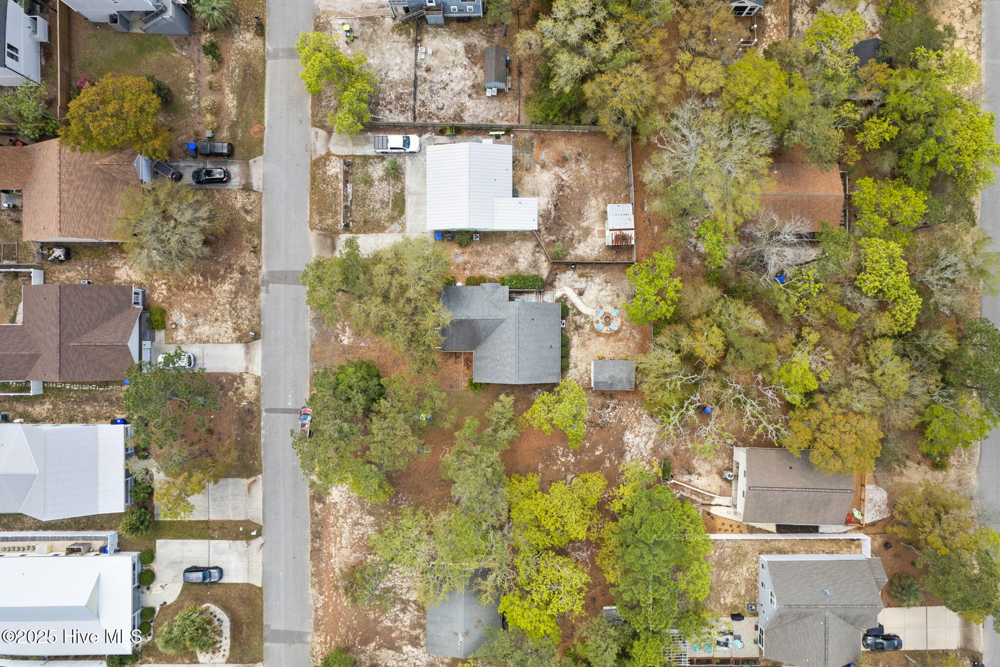 100500215 | Photo 34