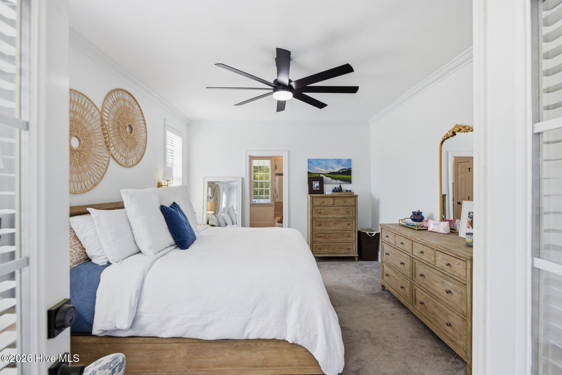 100564034 | Photo 23