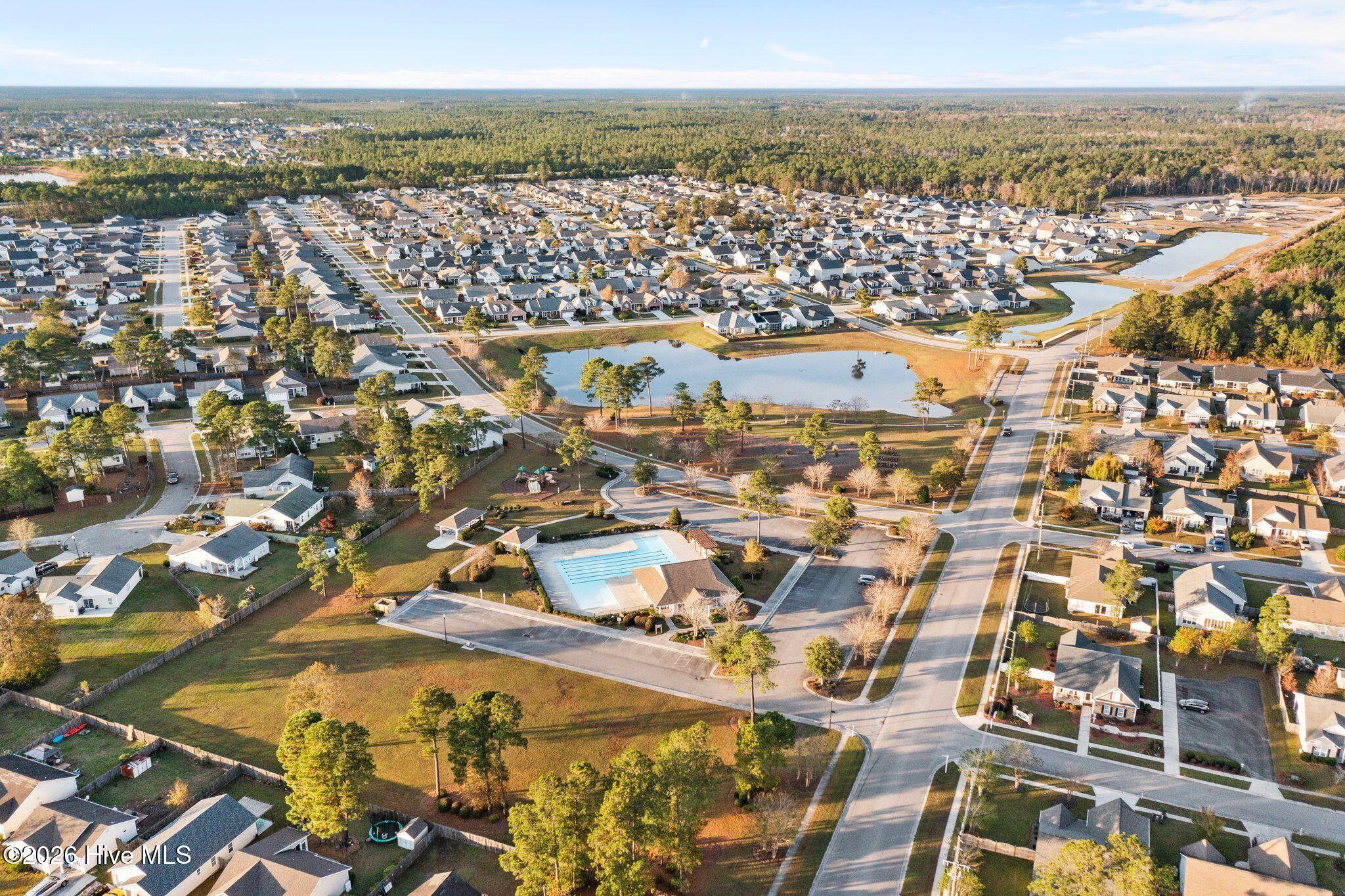 100554294 | Photo 37