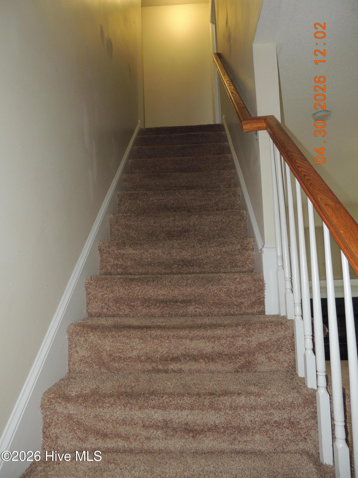 139 Hardin Drive,Maysville