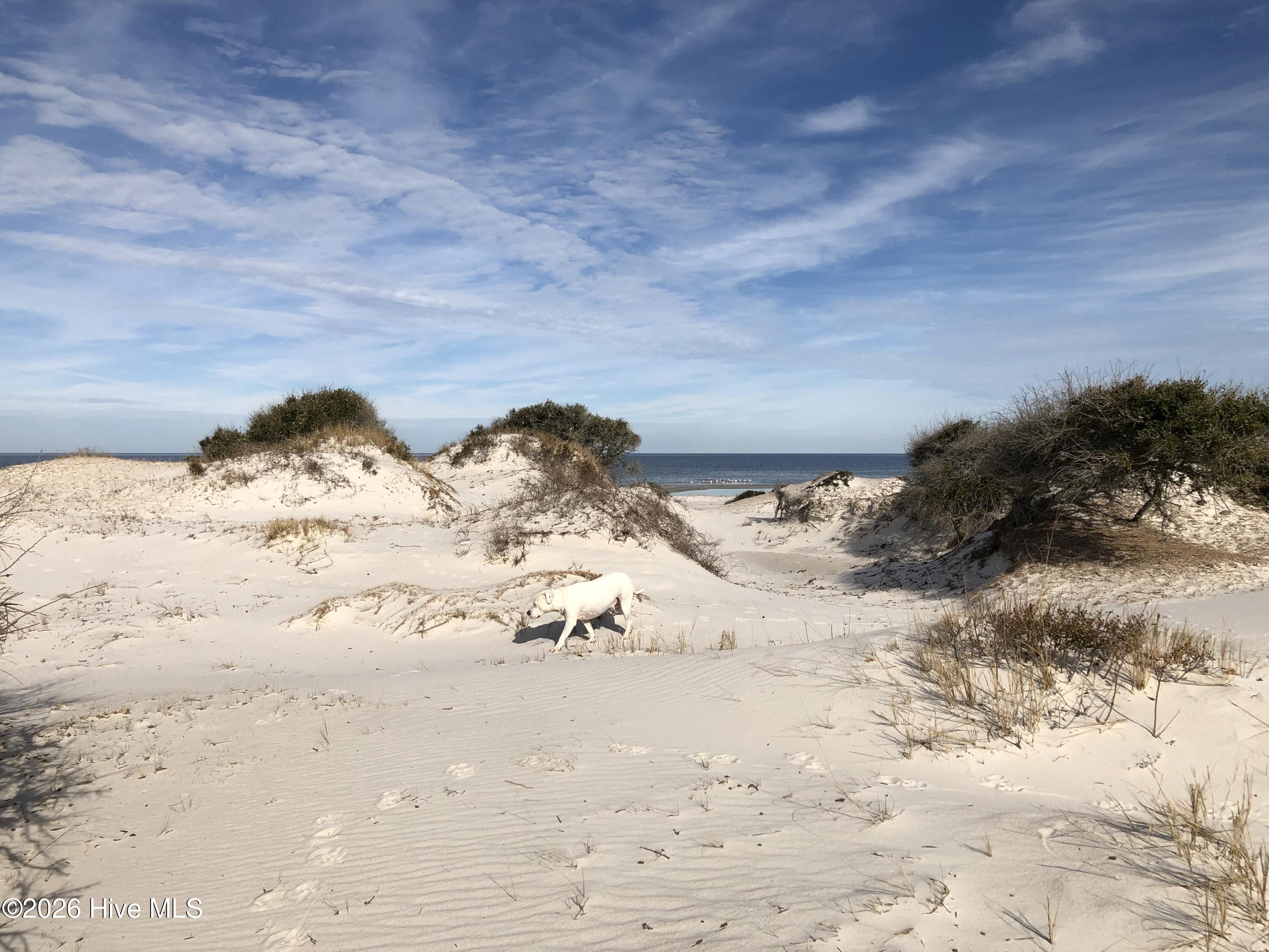 2976 Cedar Island Road,Cedar Island