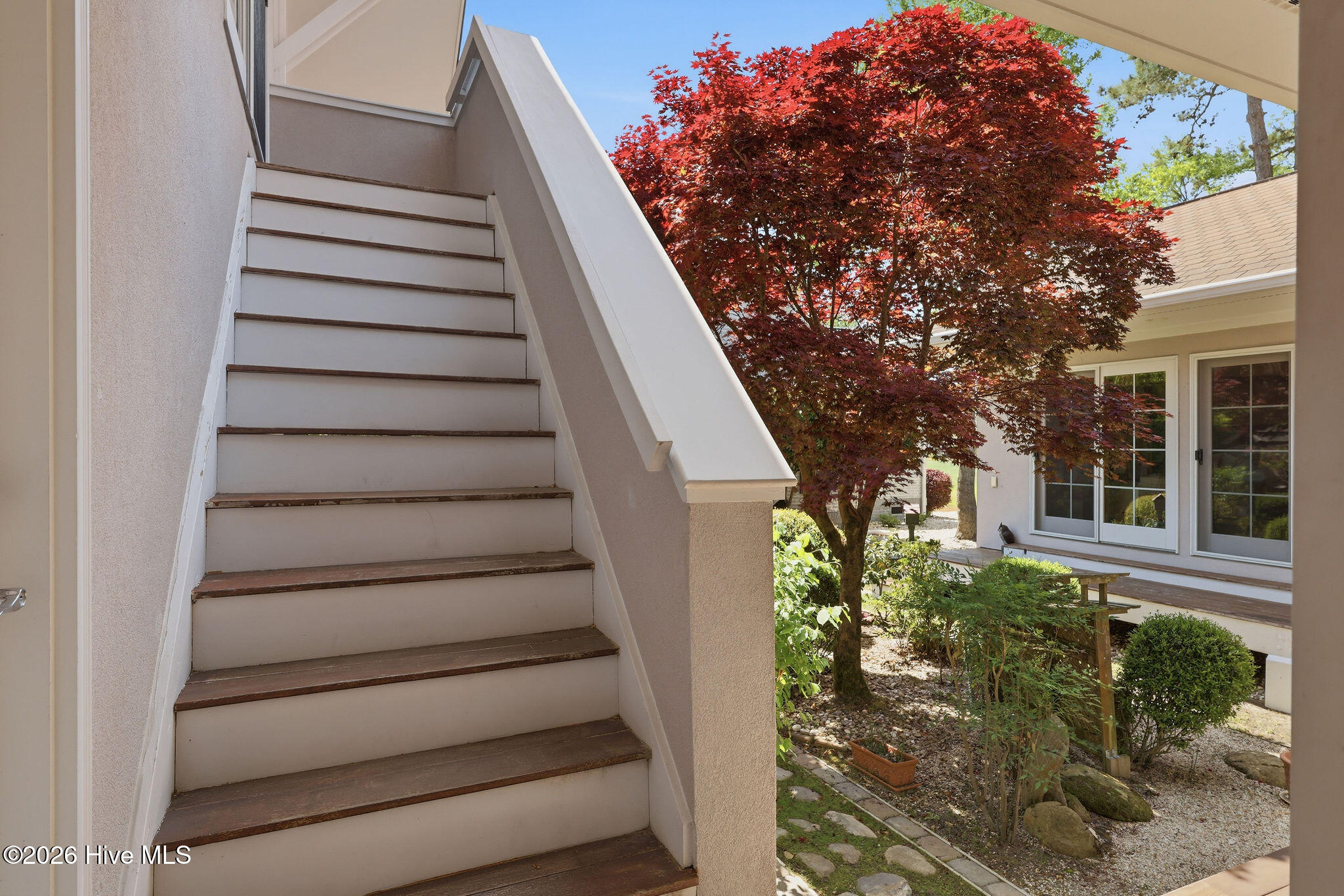 100569152 | Photo 50