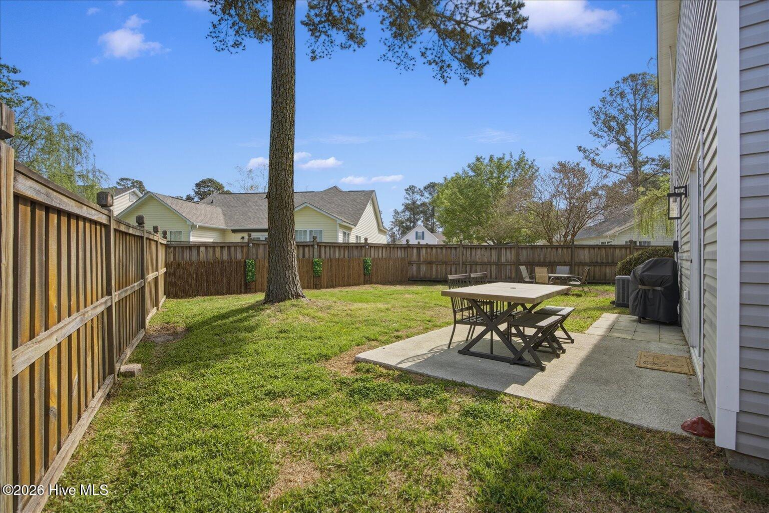 100563445 | Photo 26