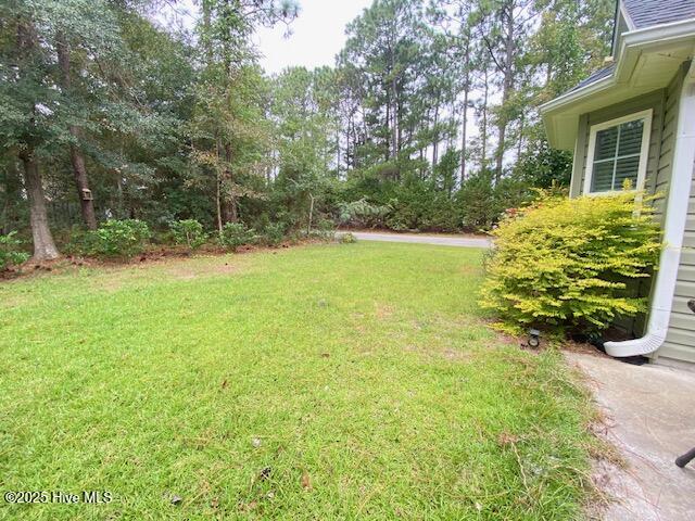 100519232 | Photo 24