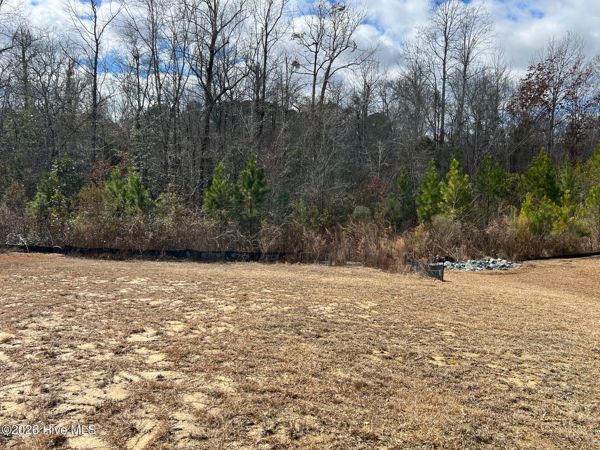 100566254 | Photo 23