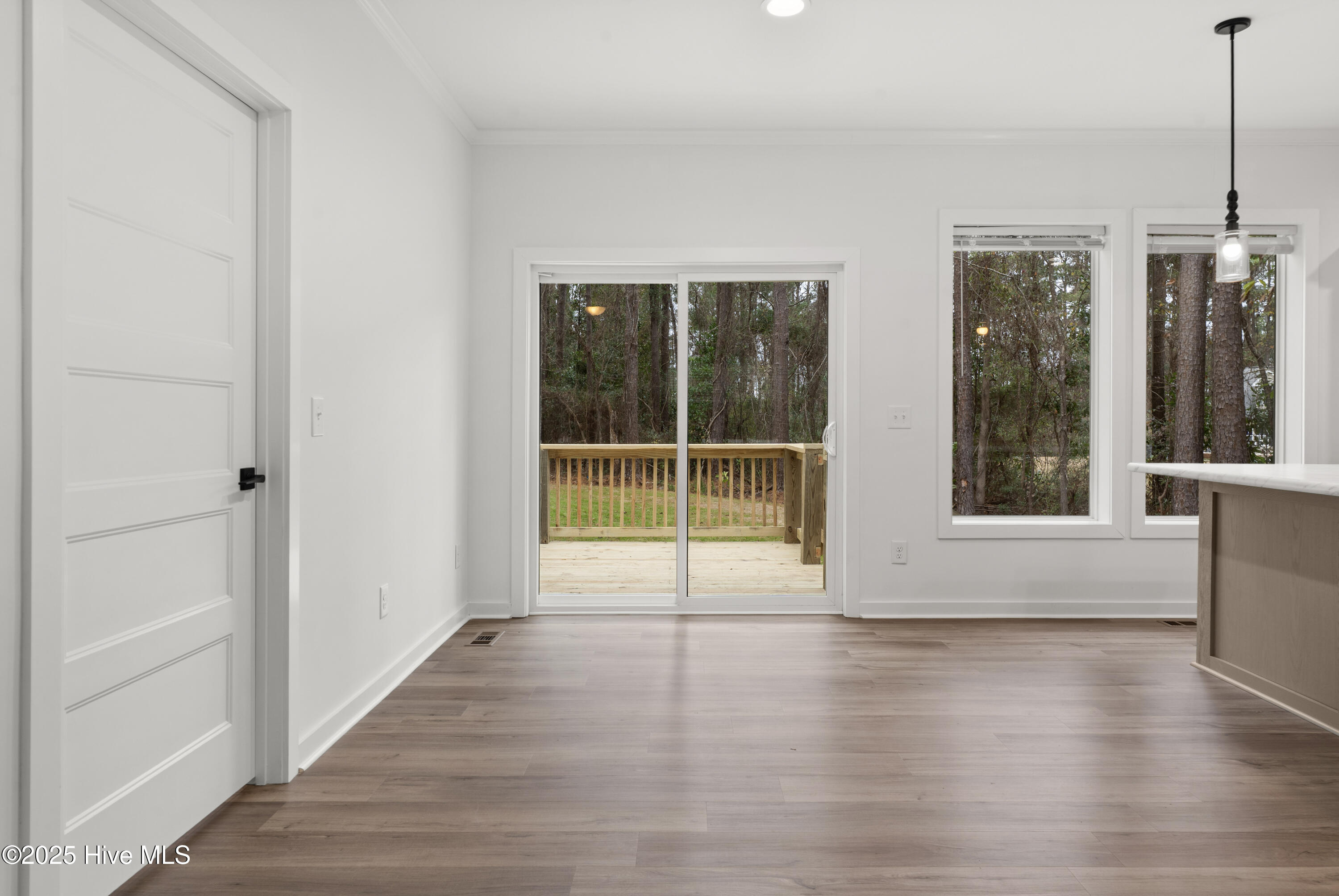 100546141 | Photo 14