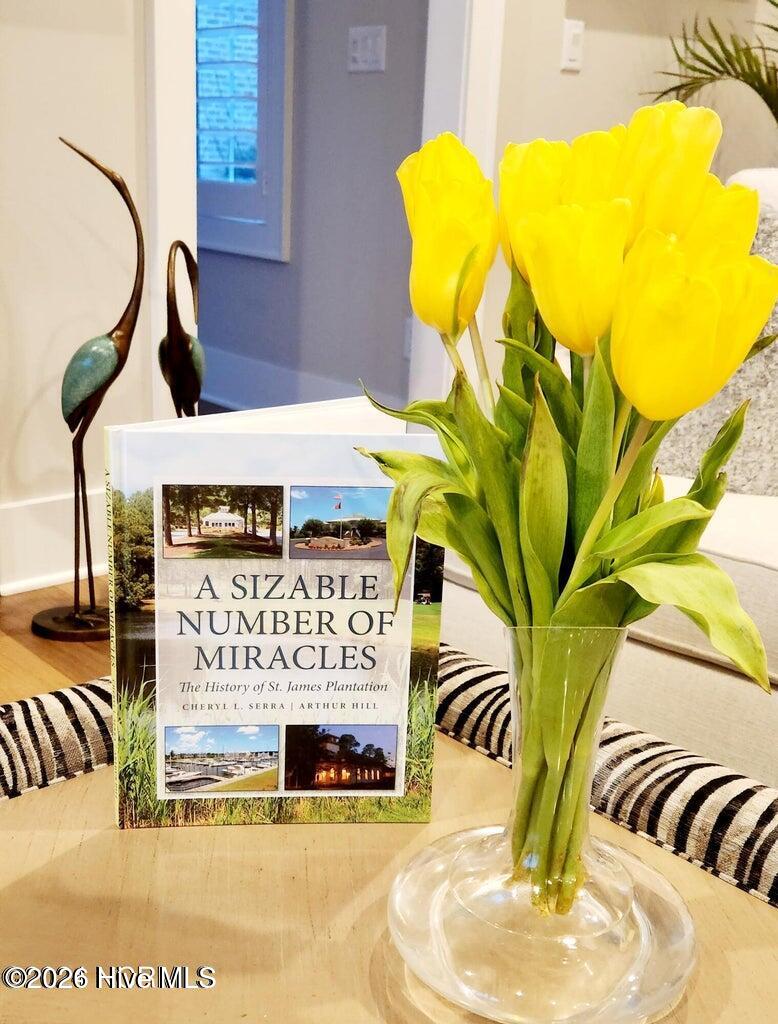 100566605 | Photo 91