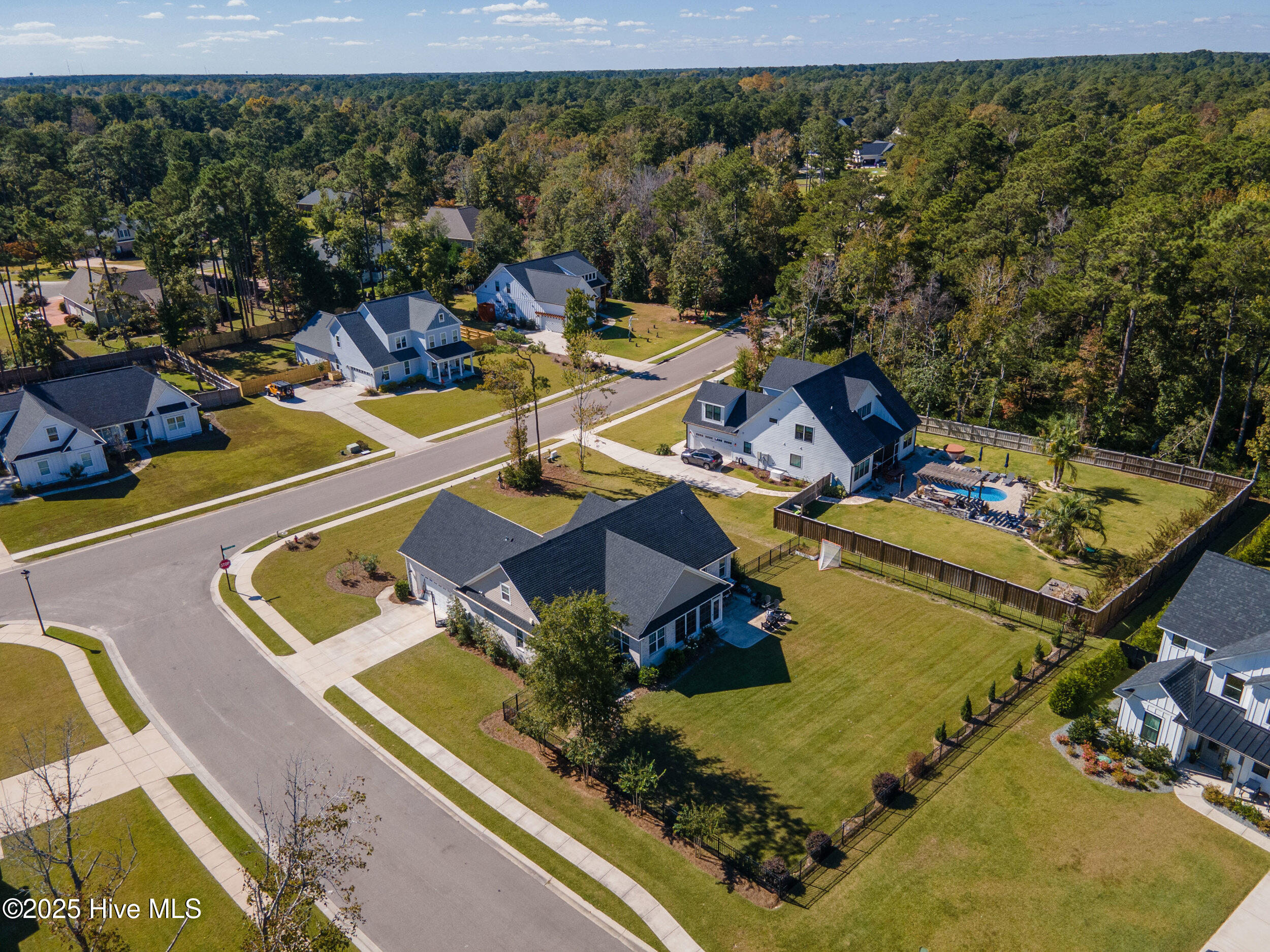 100545299 | Photo 53