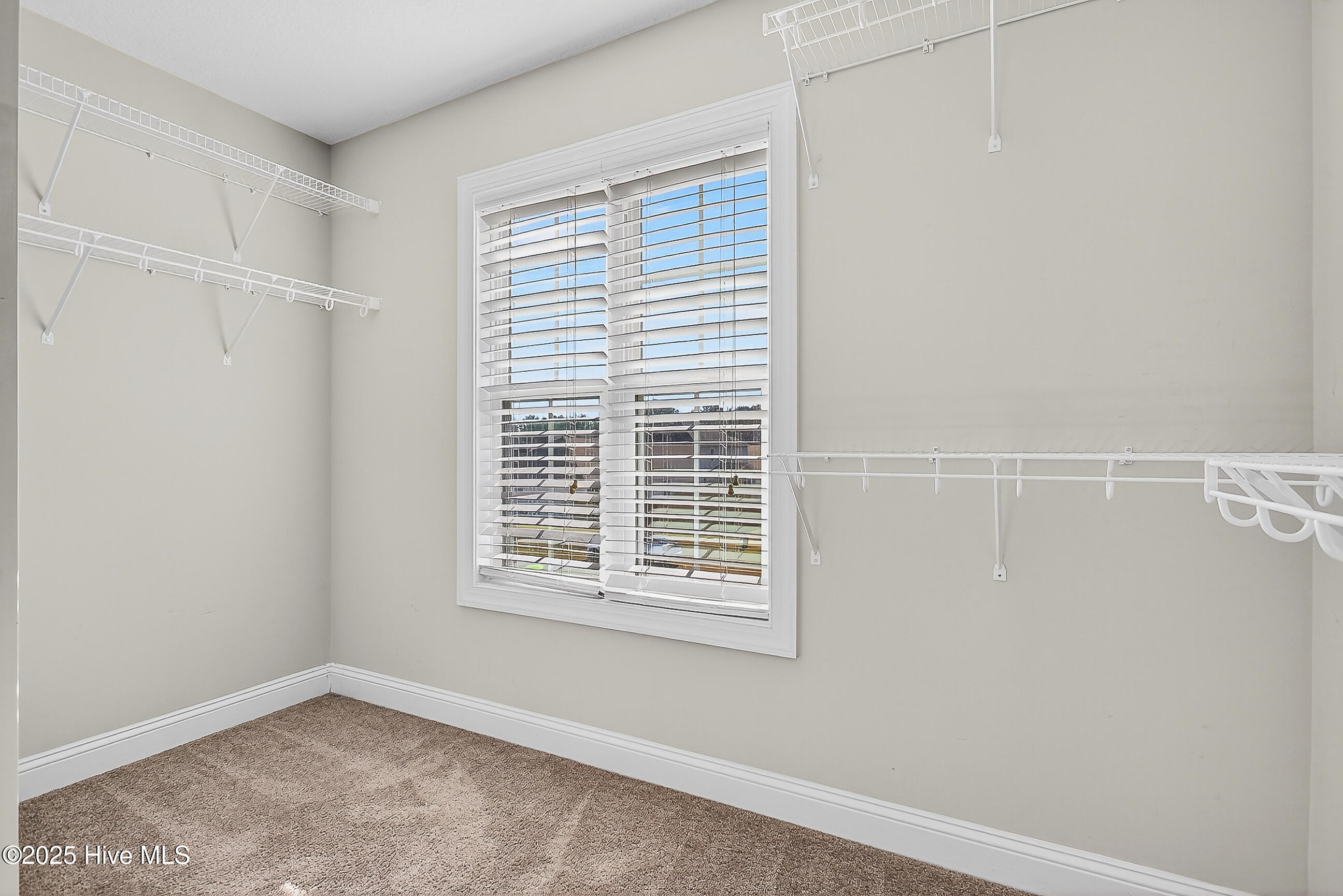 100541345 | Photo 30