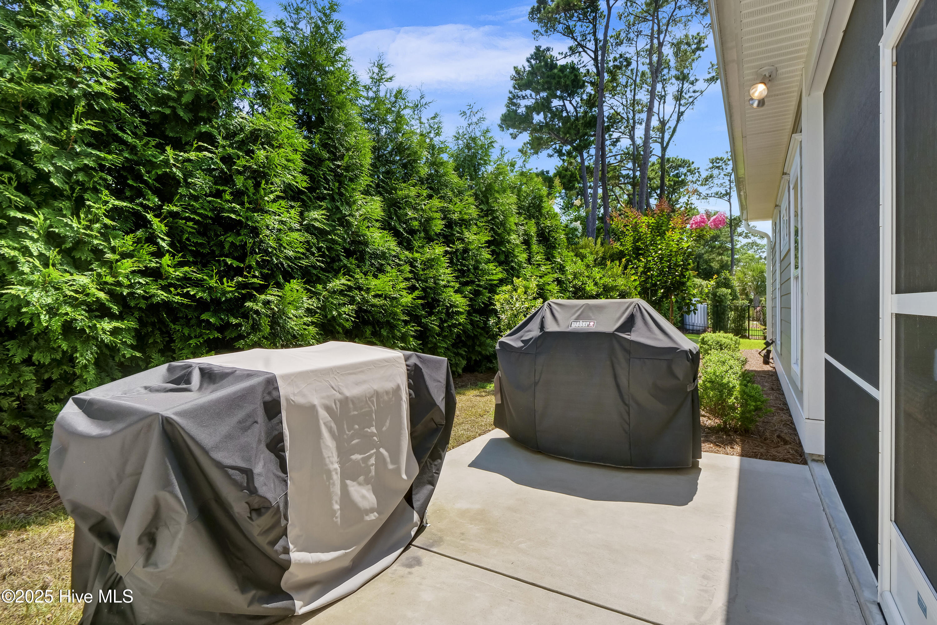 100515379 | Photo 26