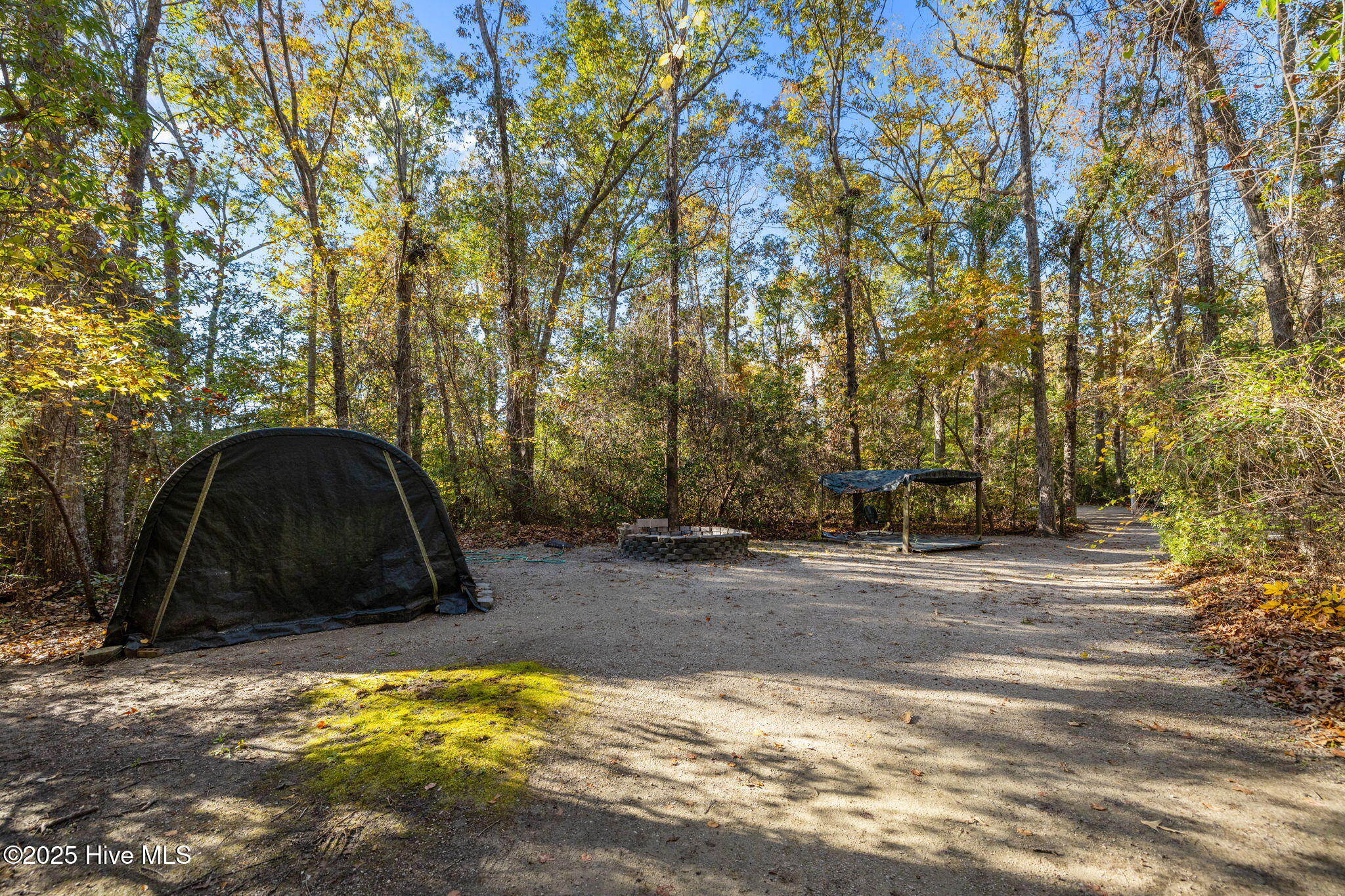 100540758 | Photo 41