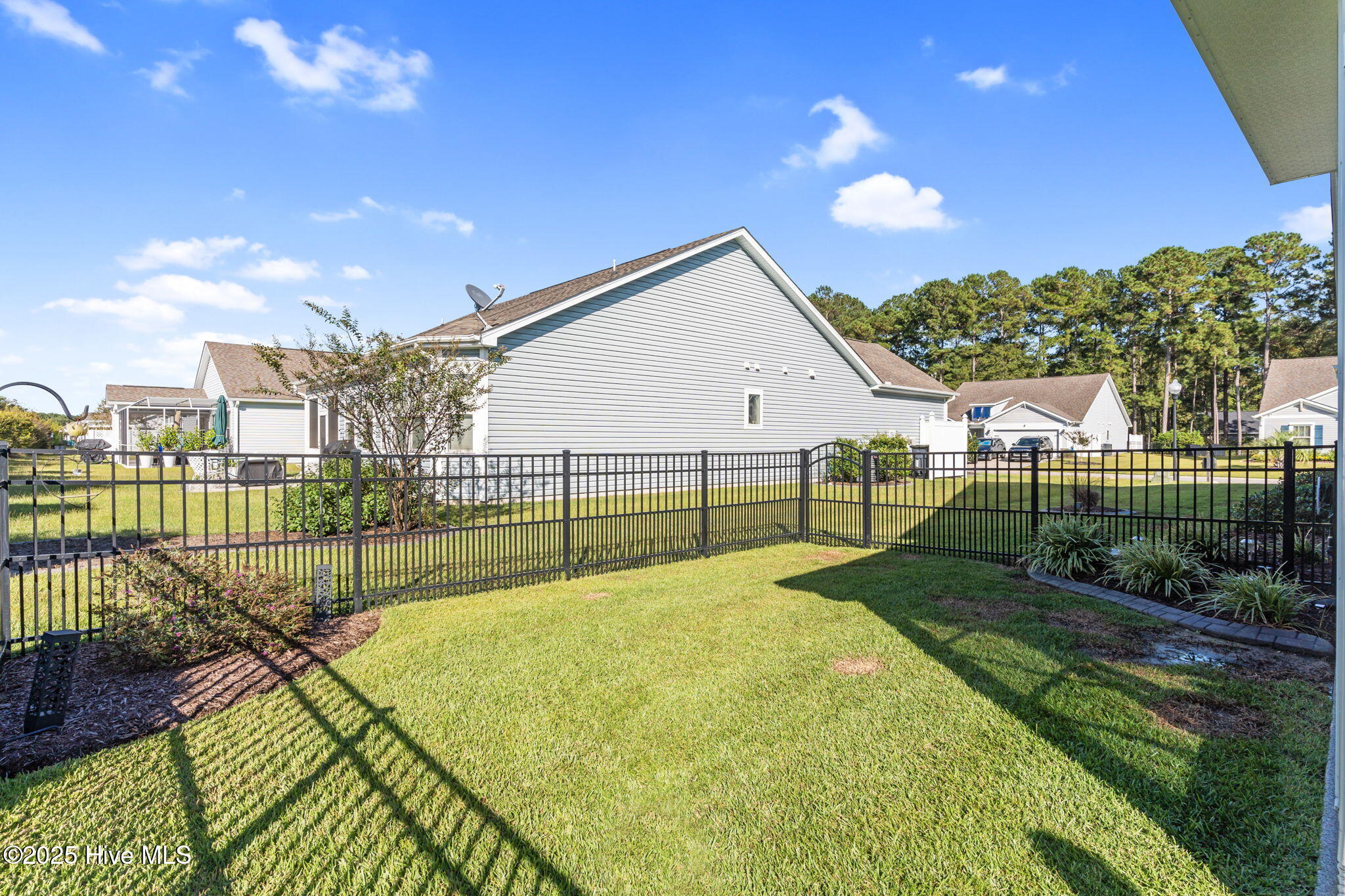 100535232 | Photo 42