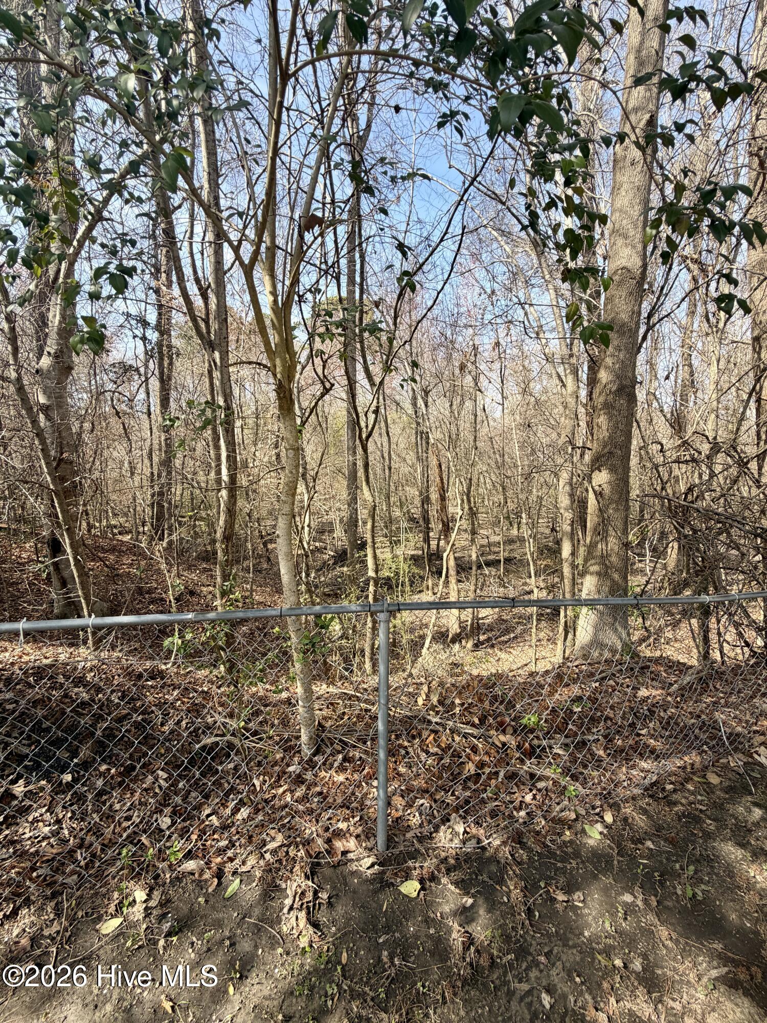 100558752 | Photo 18