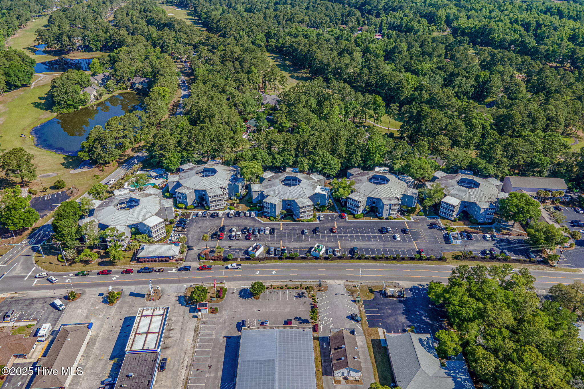 100543246 | Photo 34