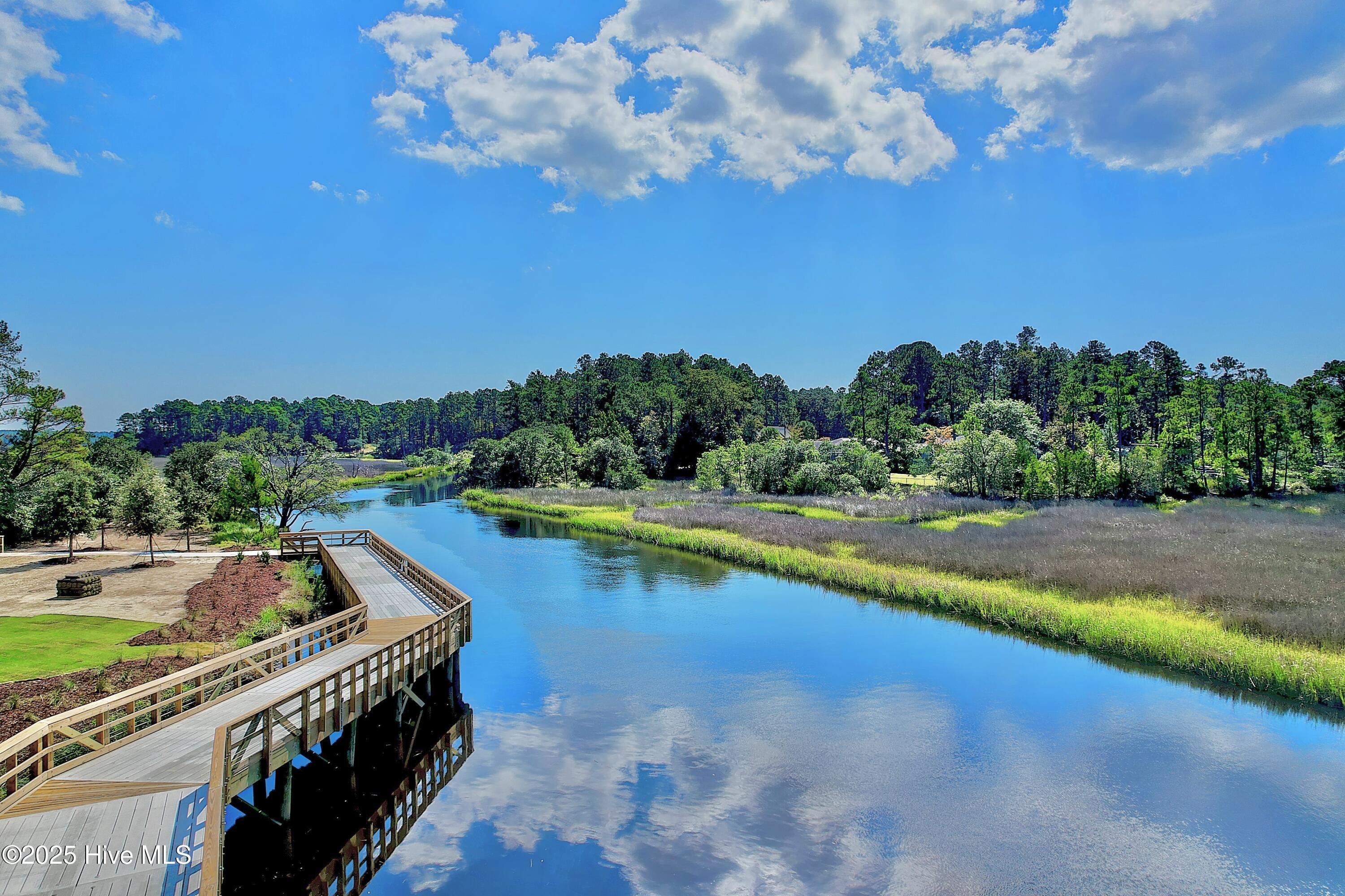 100499491 | Photo 11