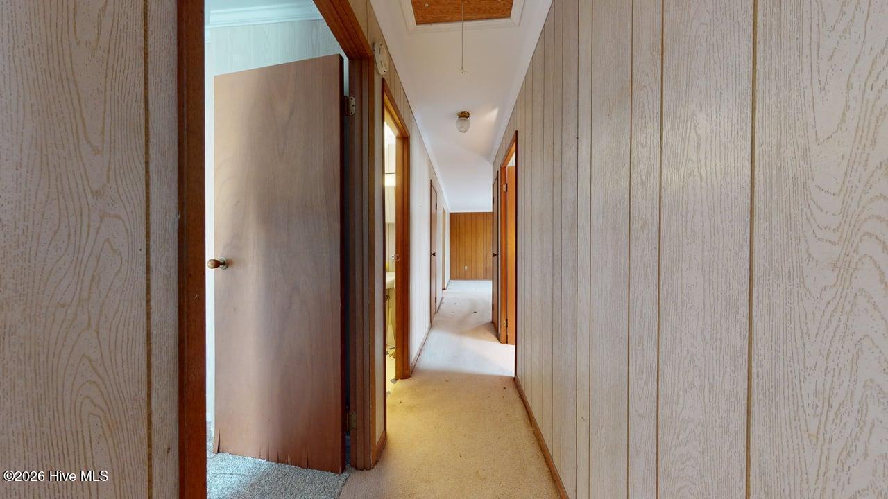 100563737 | Photo 12