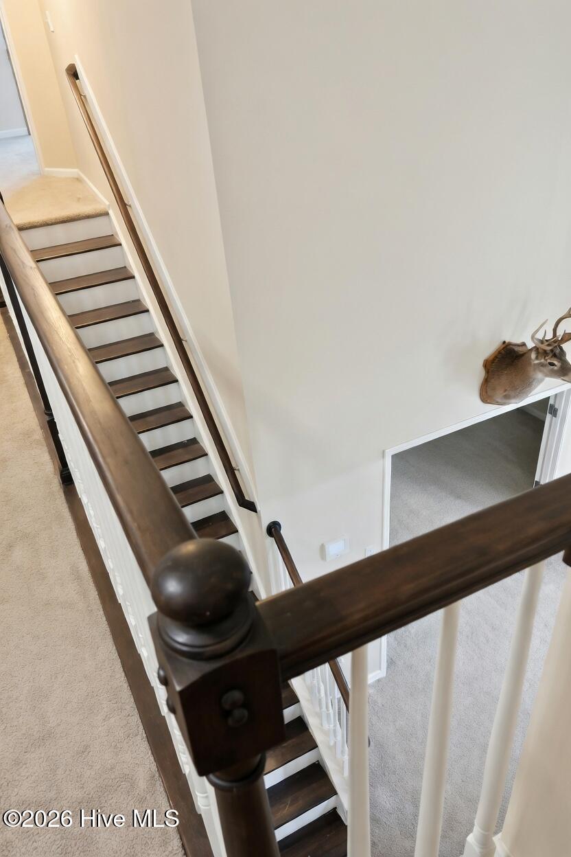 100562336 | Photo 30