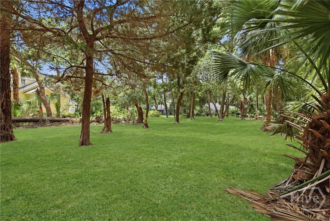 Grass added for effect