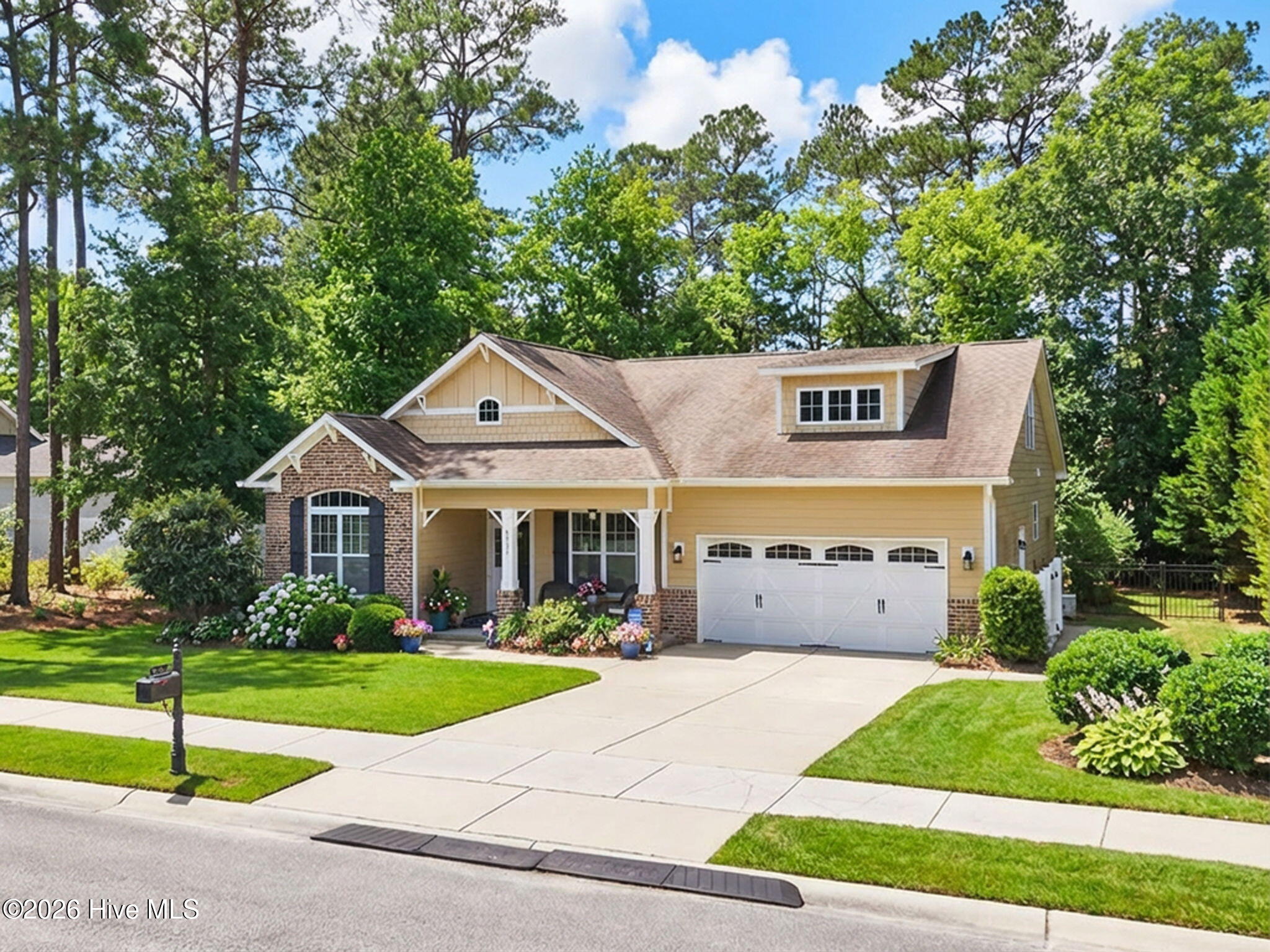 100558645 | Photo 42