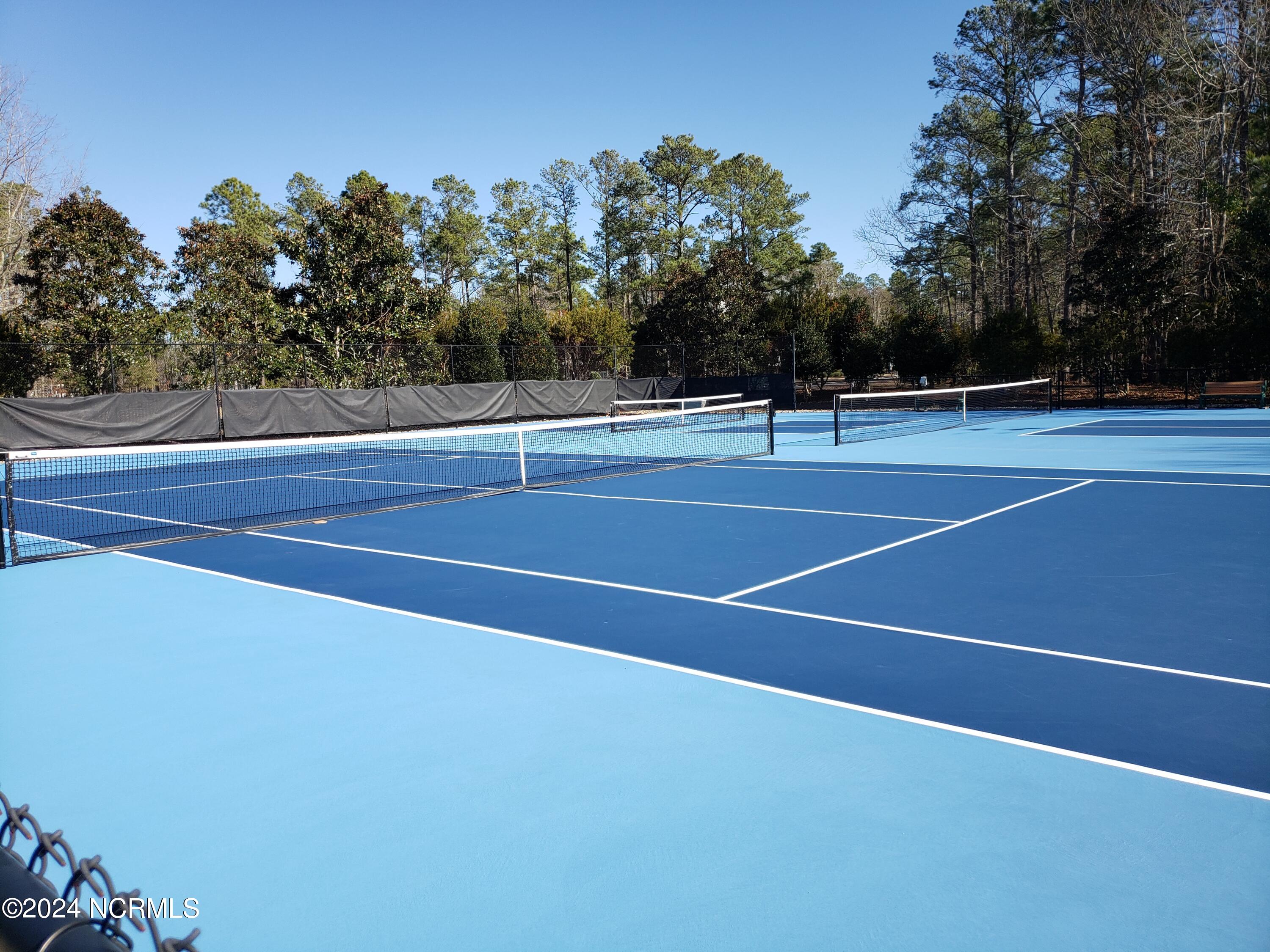 100455886 | Photo 11