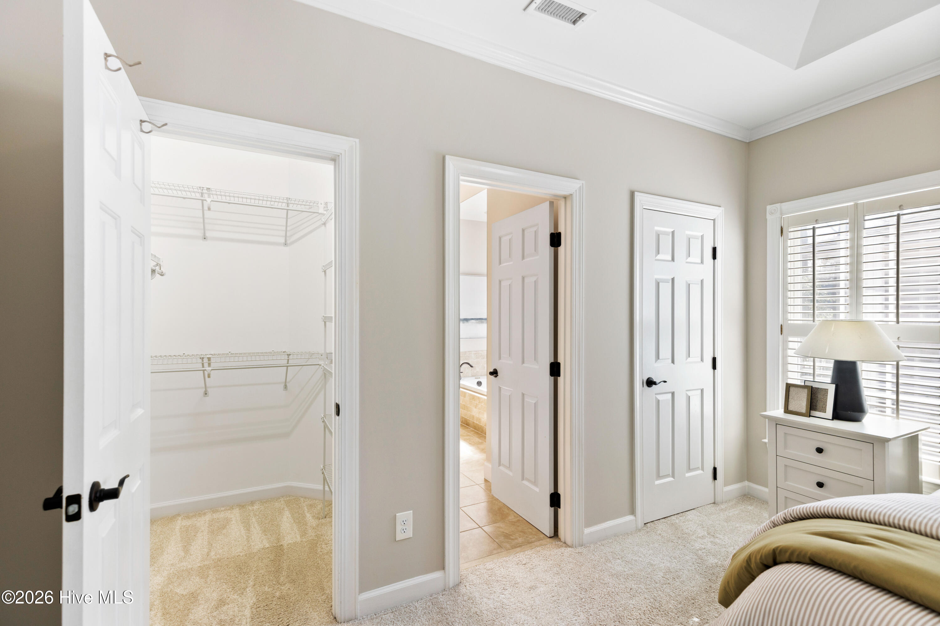 100560916 | Photo 39