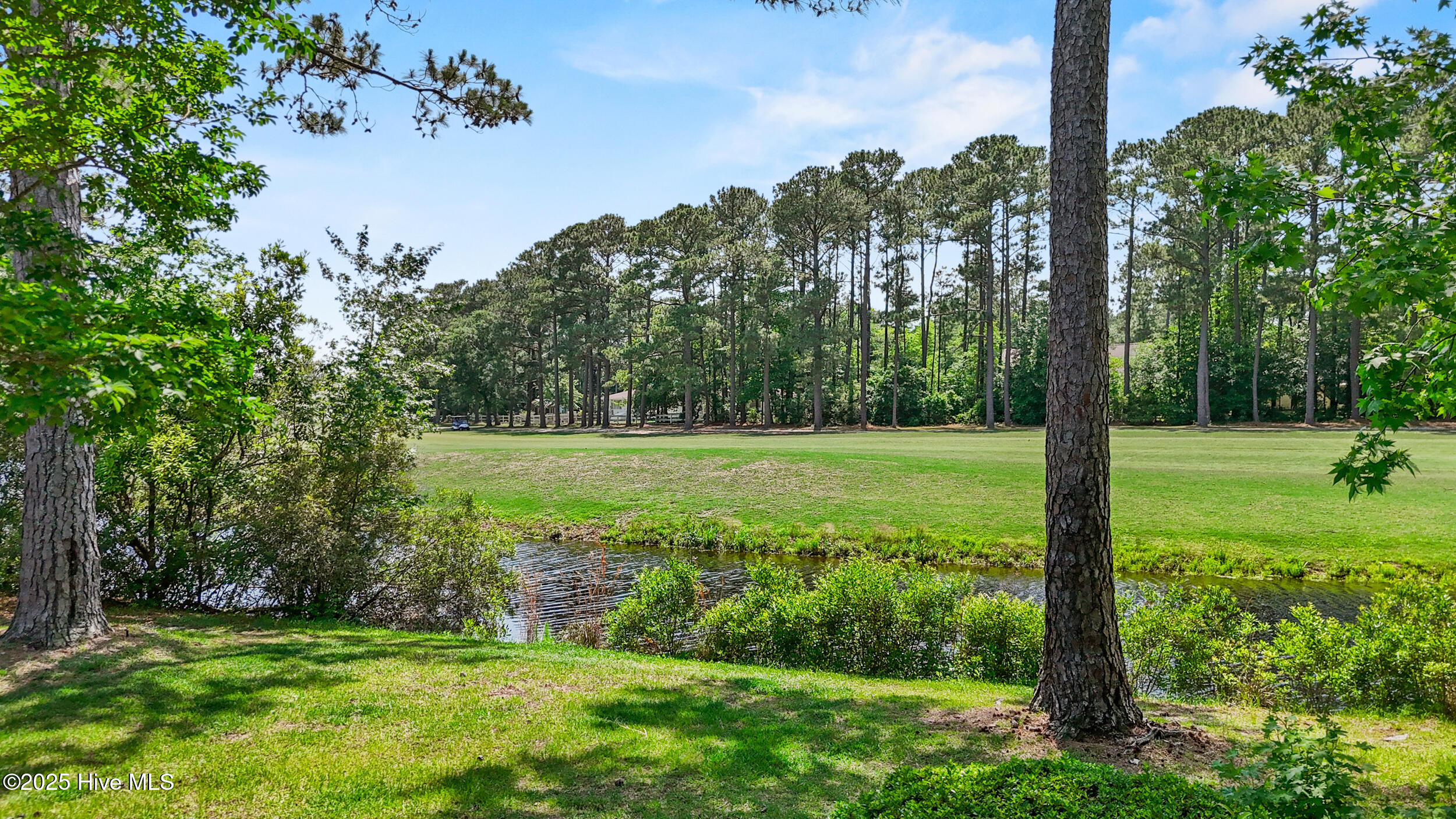 100508108 | Photo 31