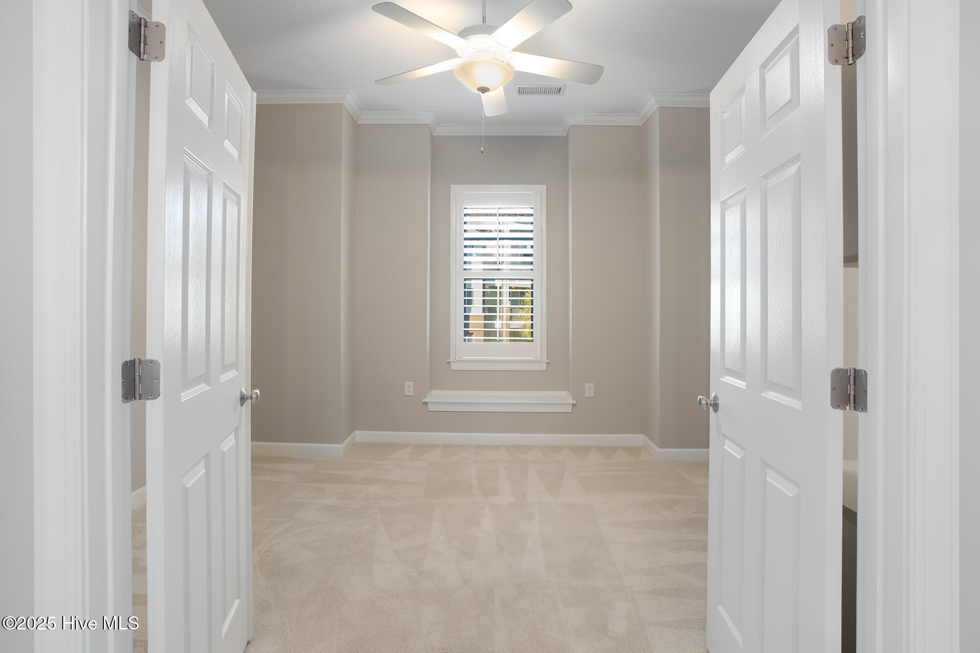 100510671 | Photo 11