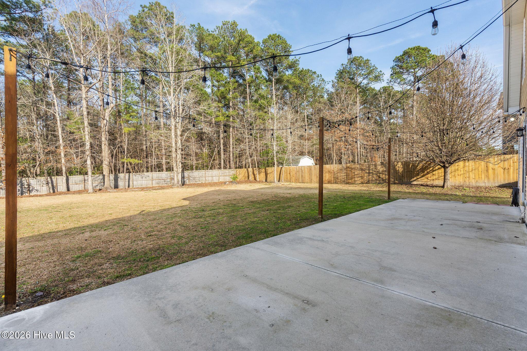 100558662 | Photo 59