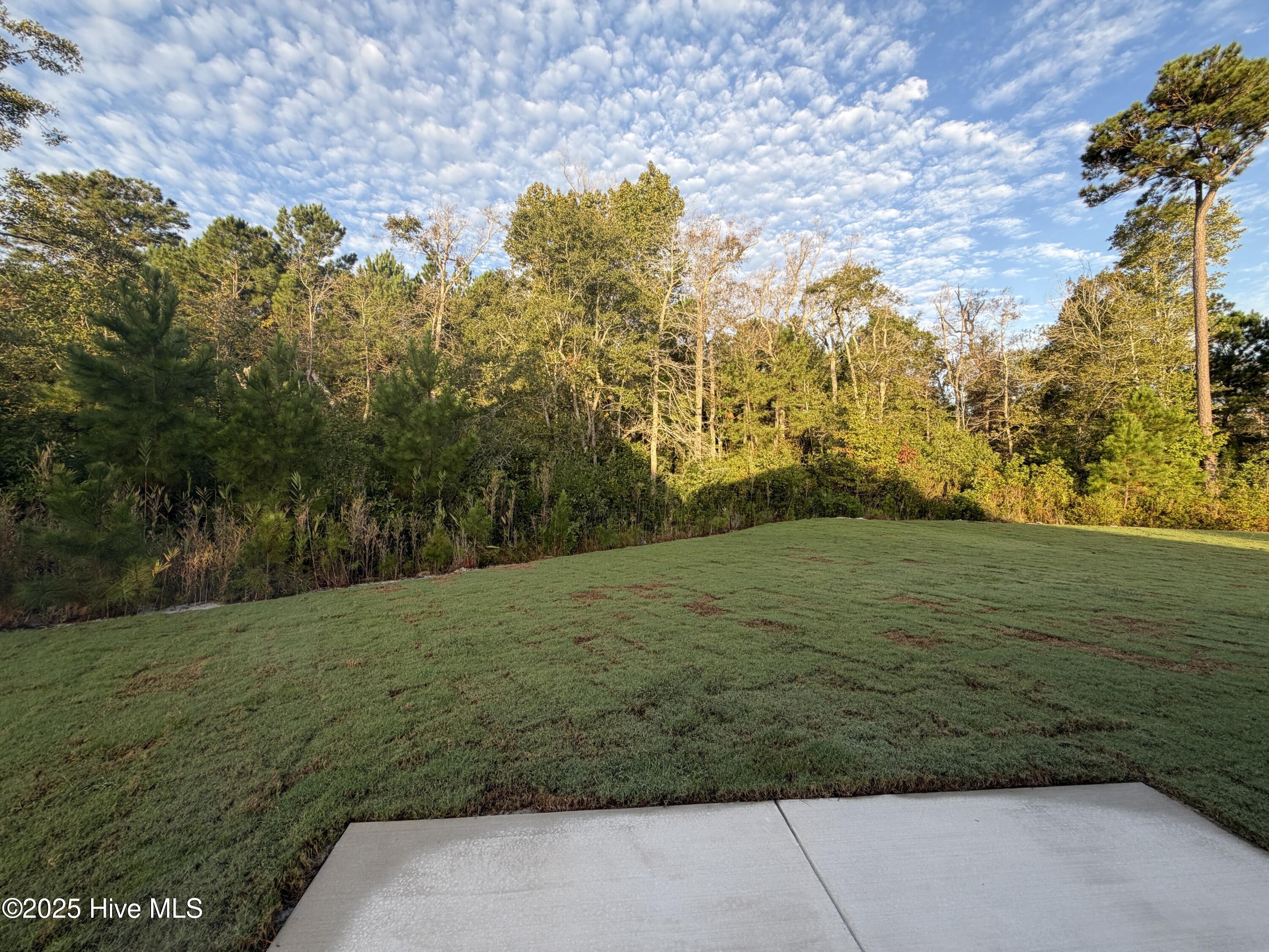 100521682 | Photo 13