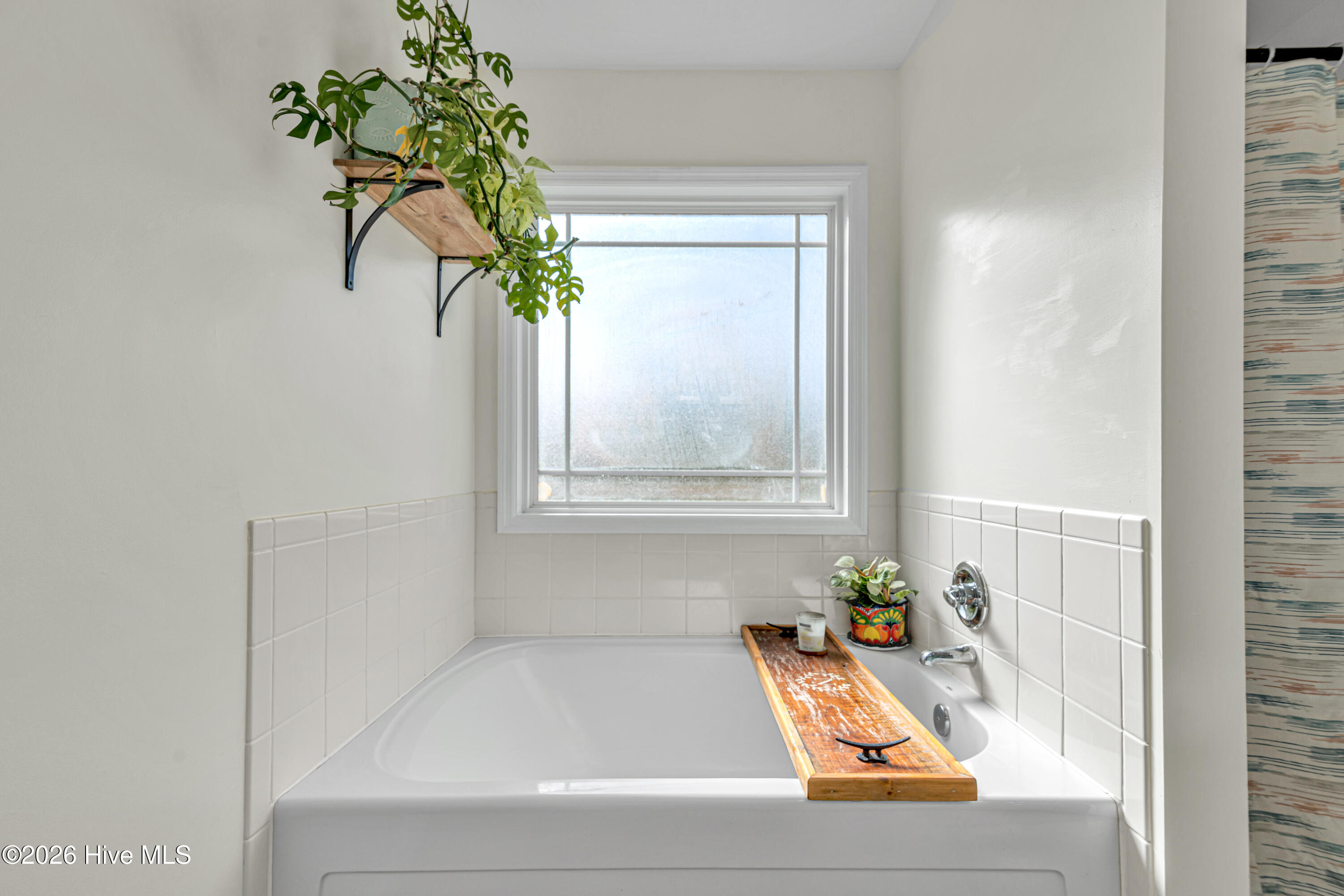 100558524 | Photo 31